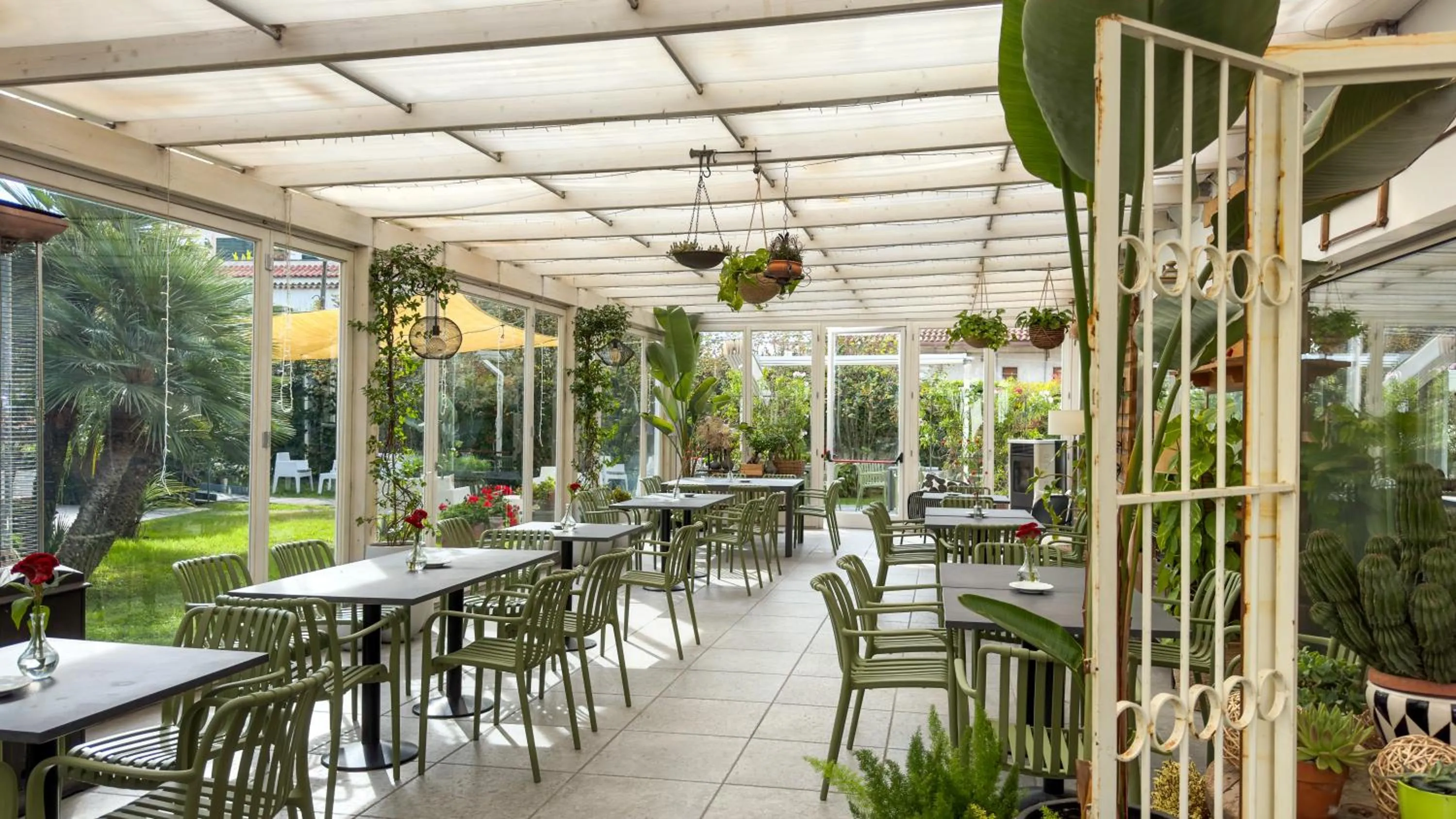 Patio in Hotel Marad