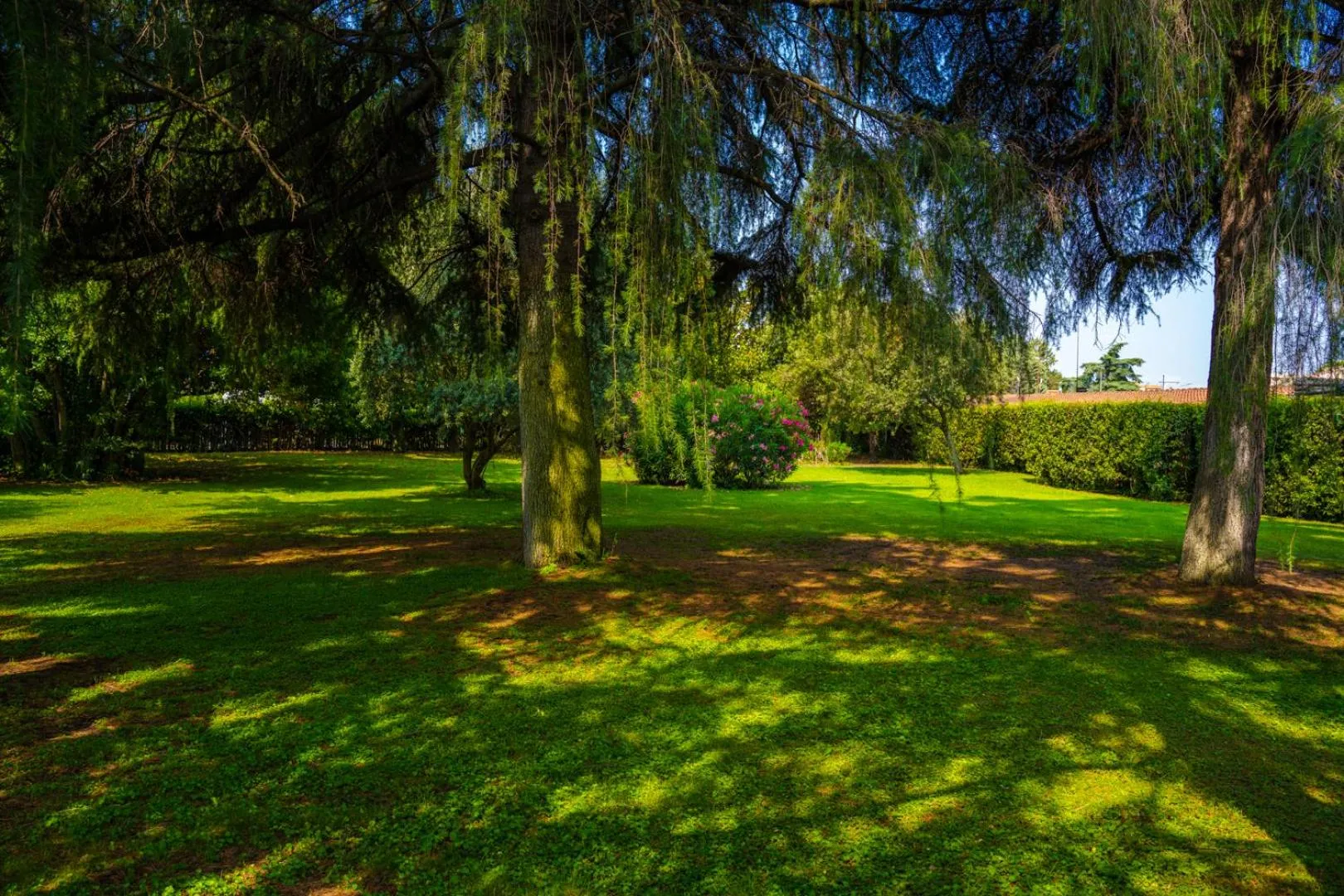 Garden in Hotel Tivoli