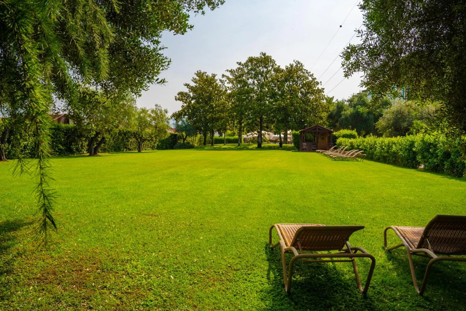 Garden in Hotel Tivoli