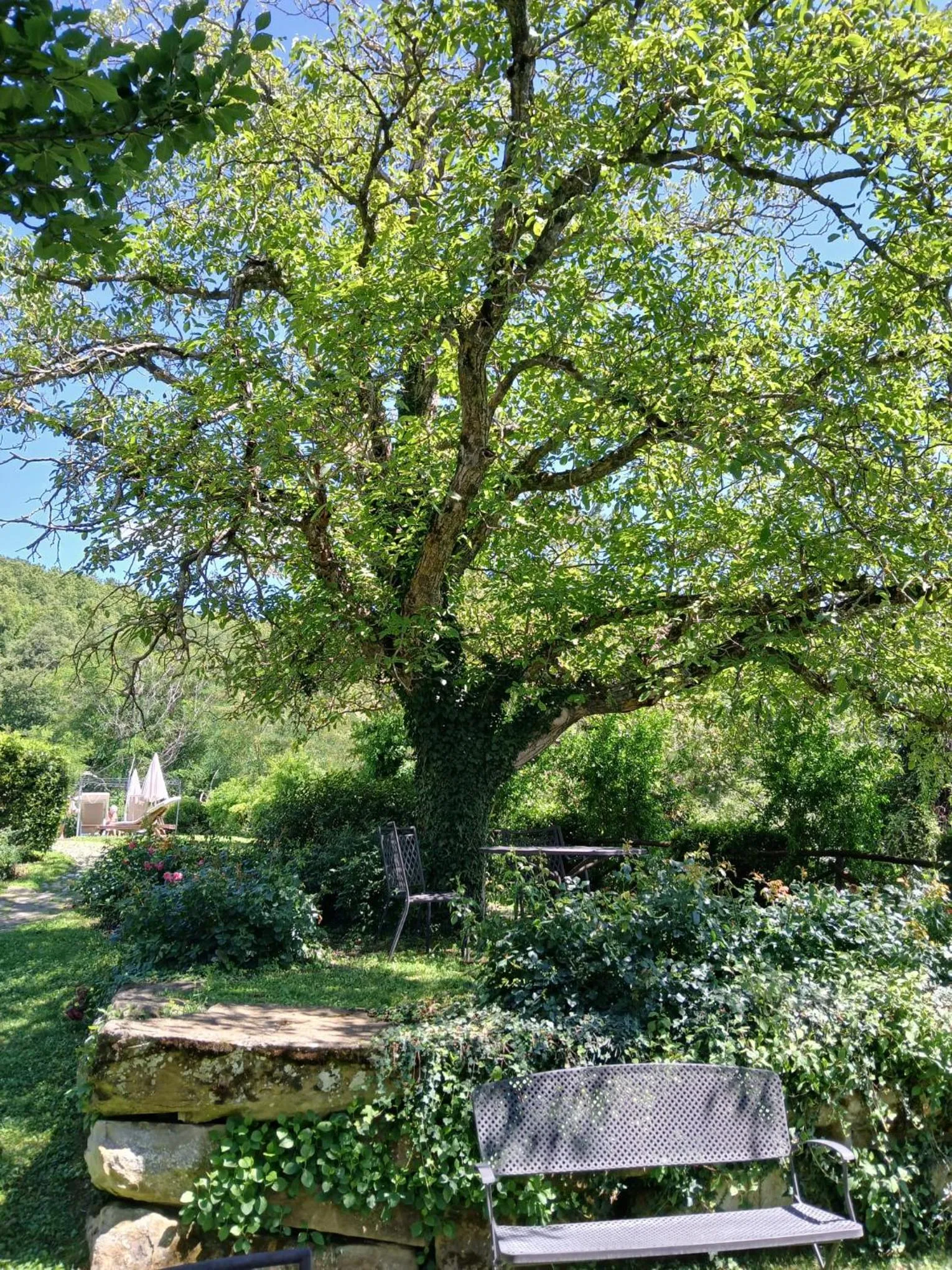 Garden in La Tavola Dei Cavalieri