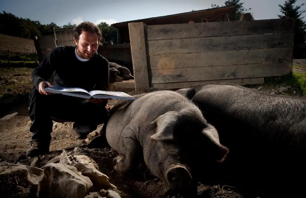 Animals in La Tavola Dei Cavalieri