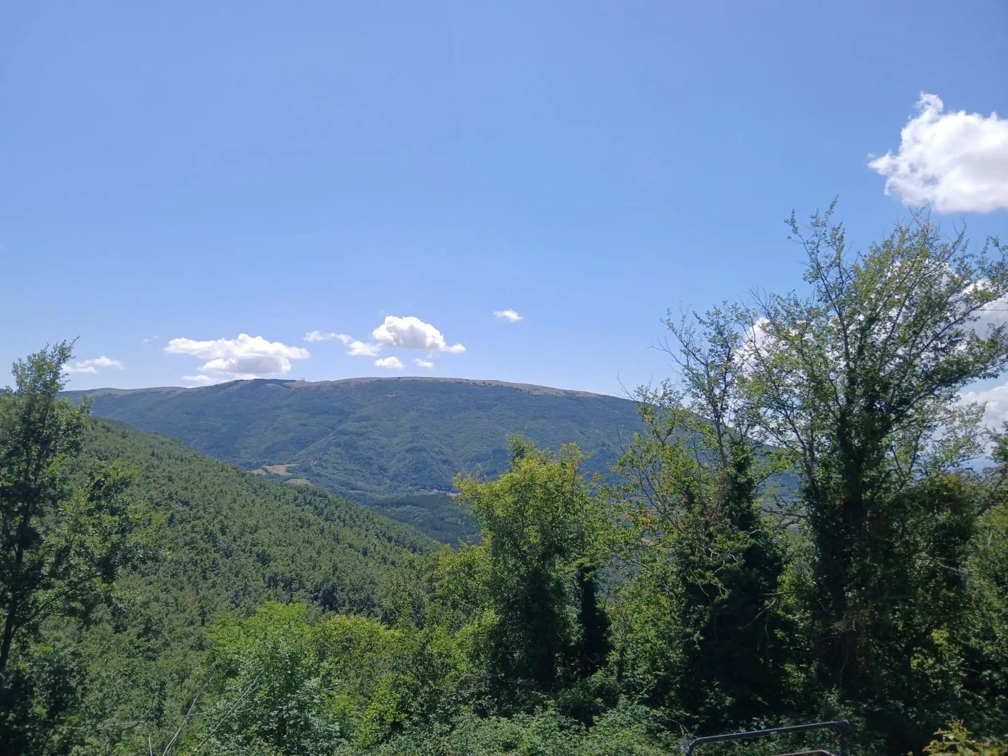 Photo of the whole room in La Tavola Dei Cavalieri