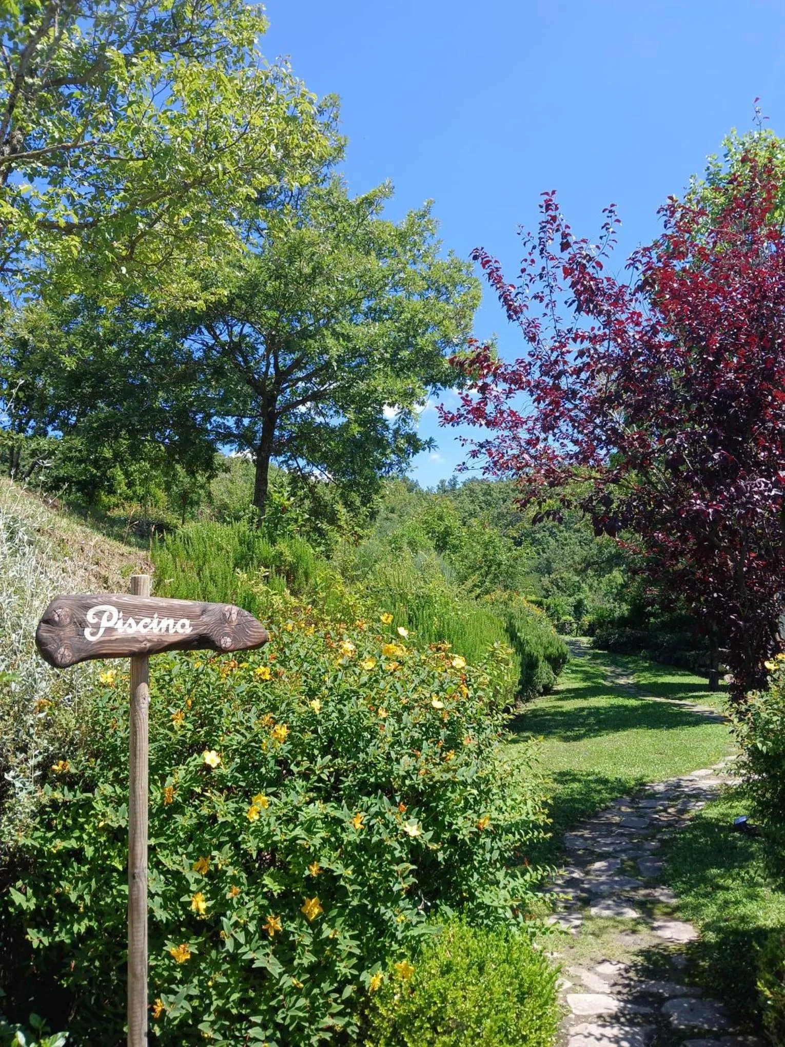 Garden in La Tavola Dei Cavalieri