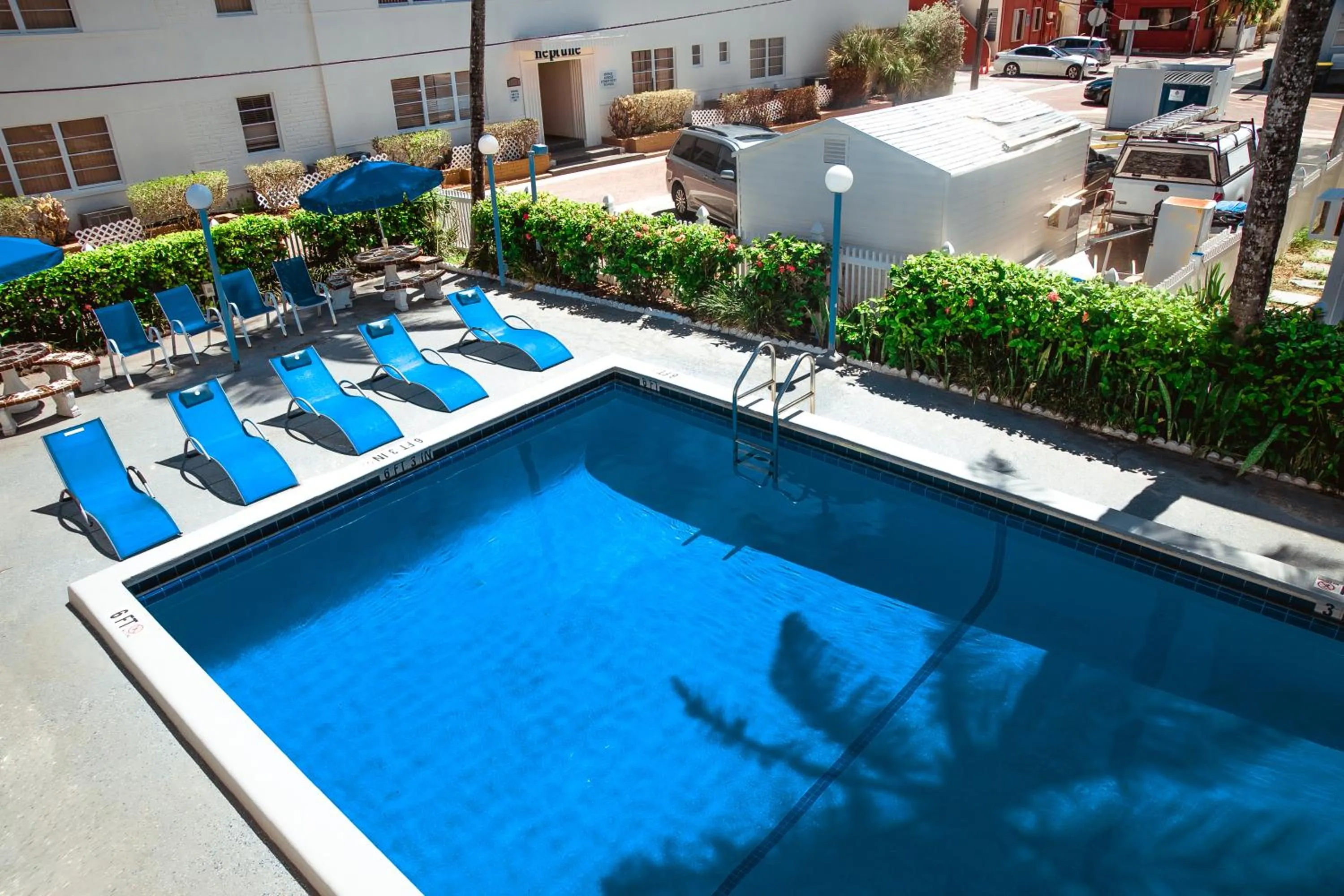 Swimming pool in The Delmar