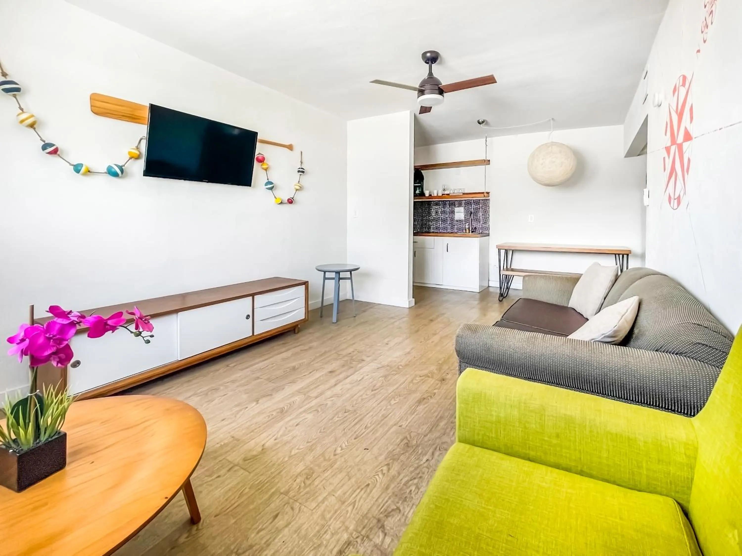 TV and multimedia in The Delmar