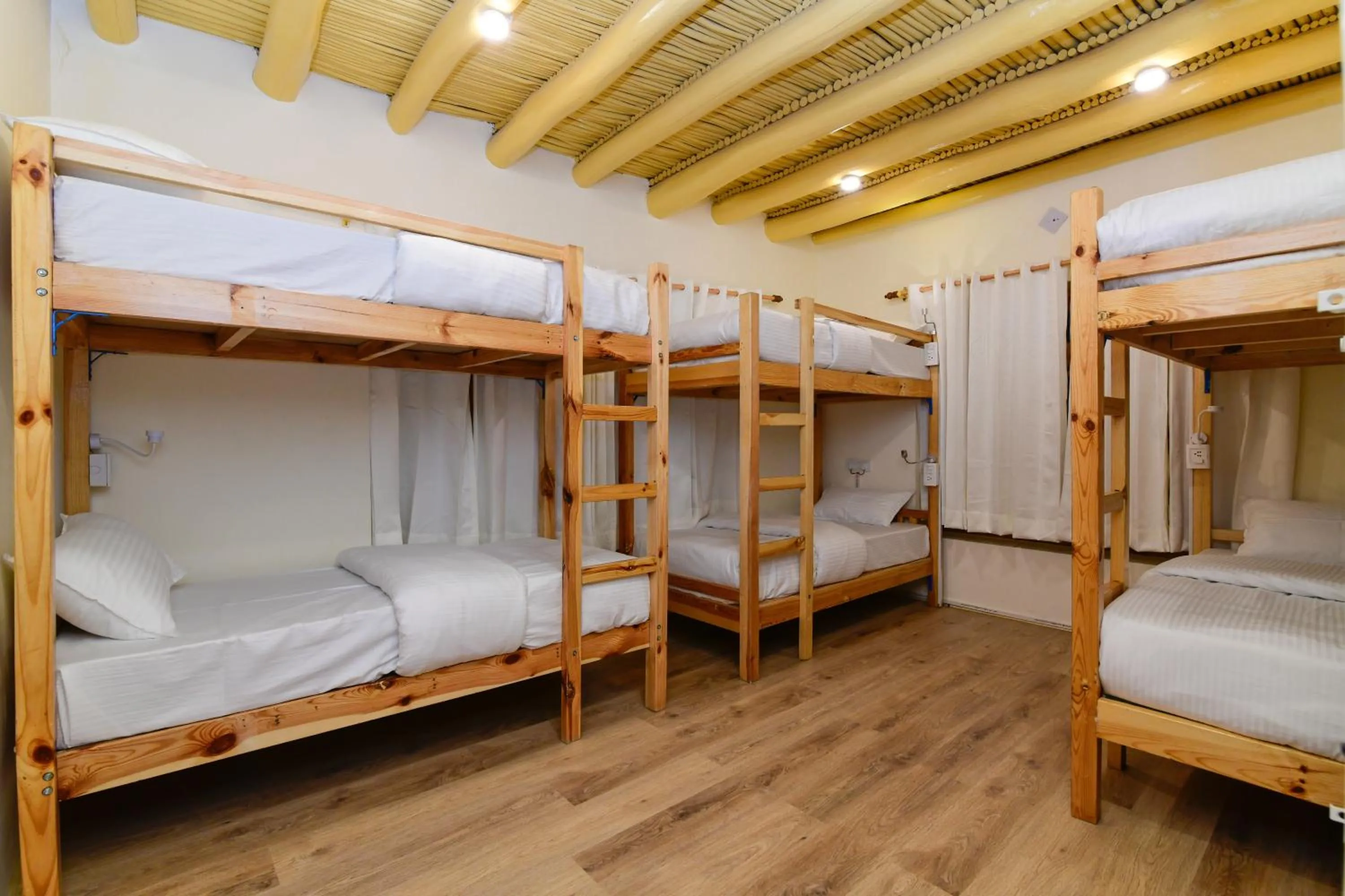 View (from property/room) in Raybo Hostel - Serene stay with 5 mins walk from the main market