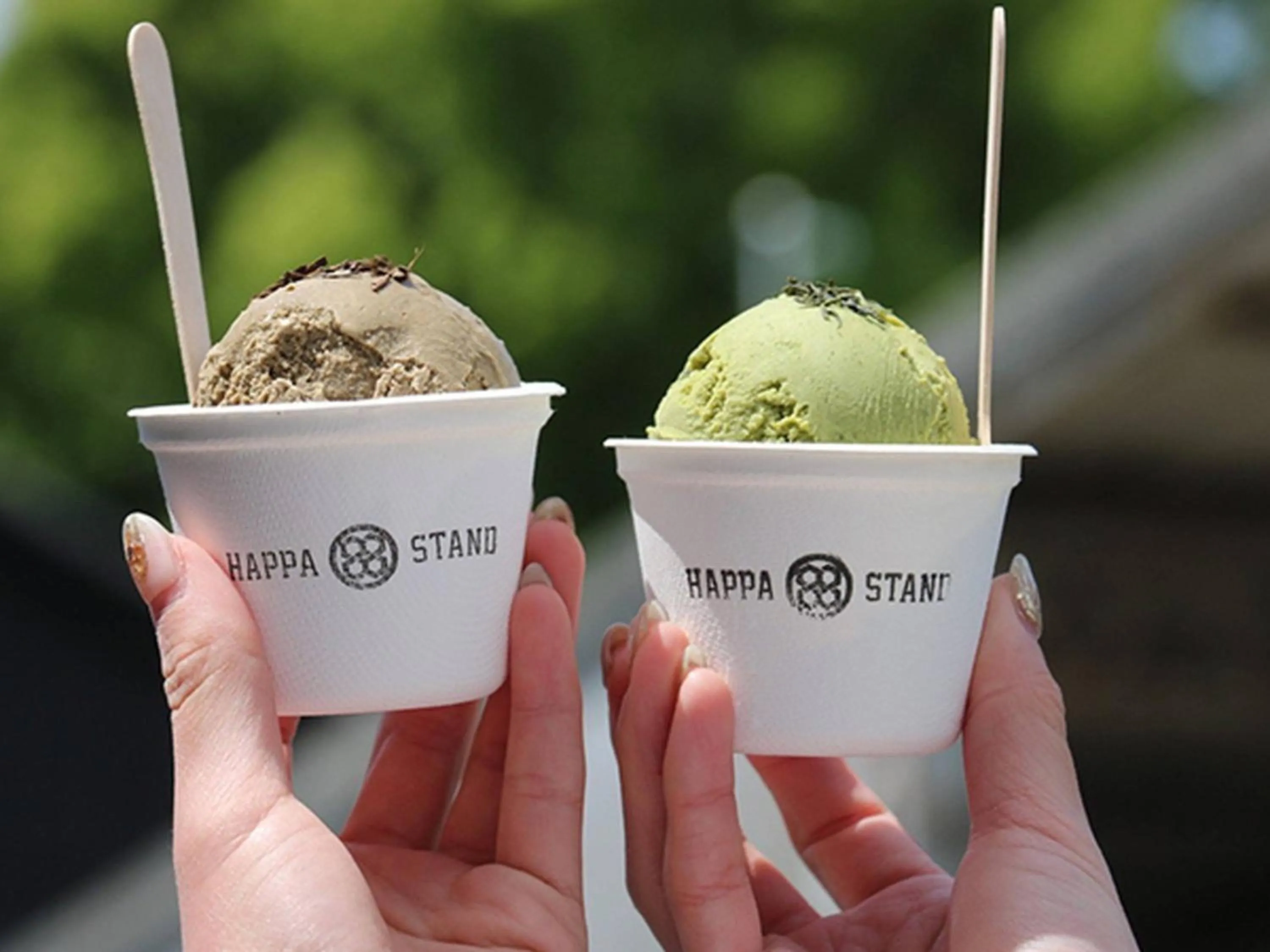 Other in Hatago Vison