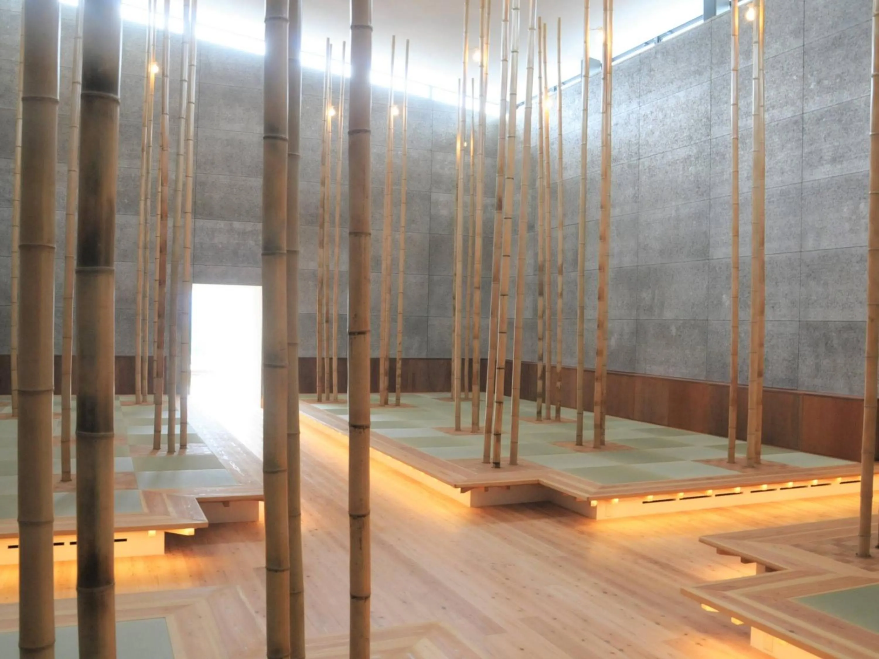 Public Bath in Hatago Vison