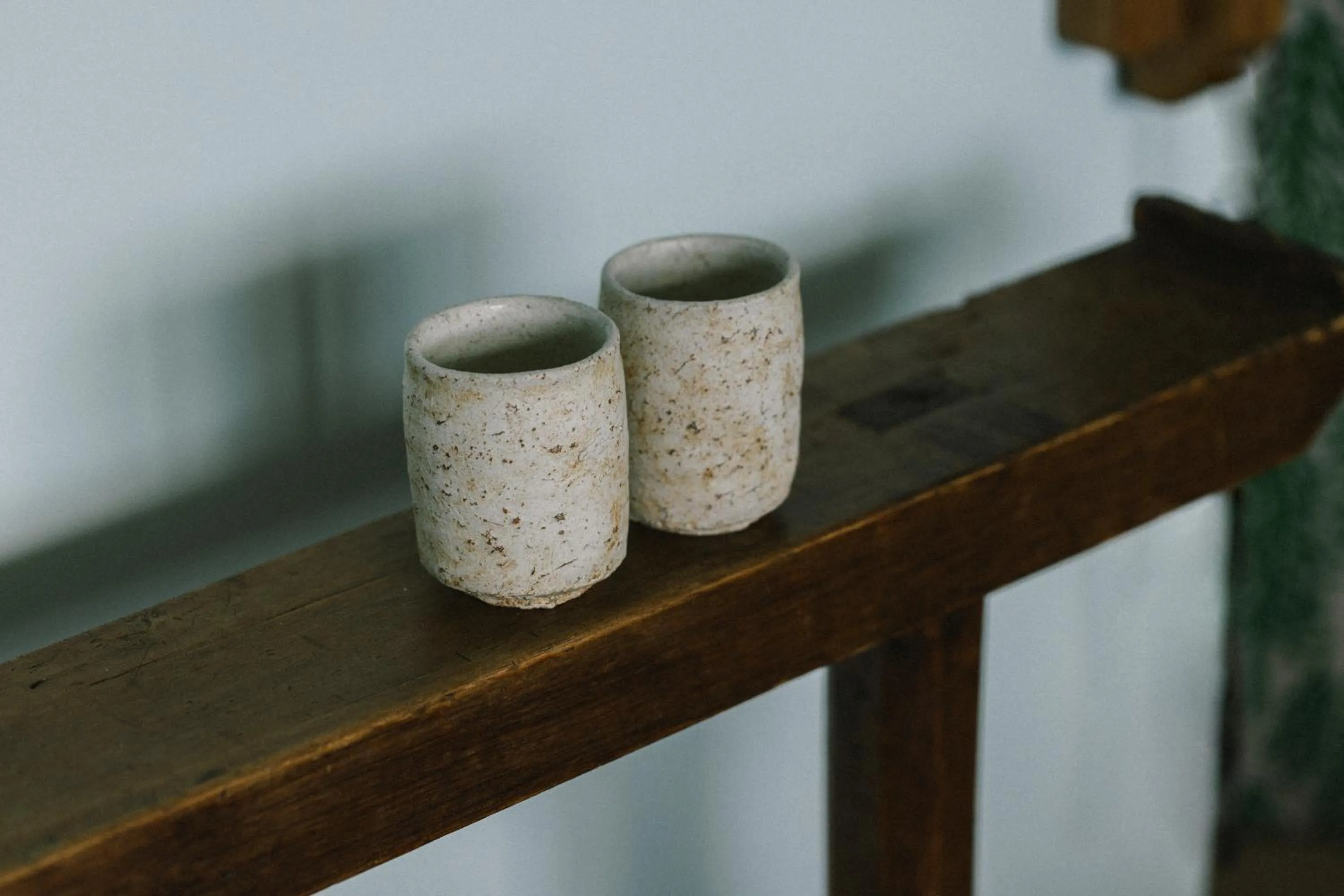 Photo of the whole room in Hatago Vison