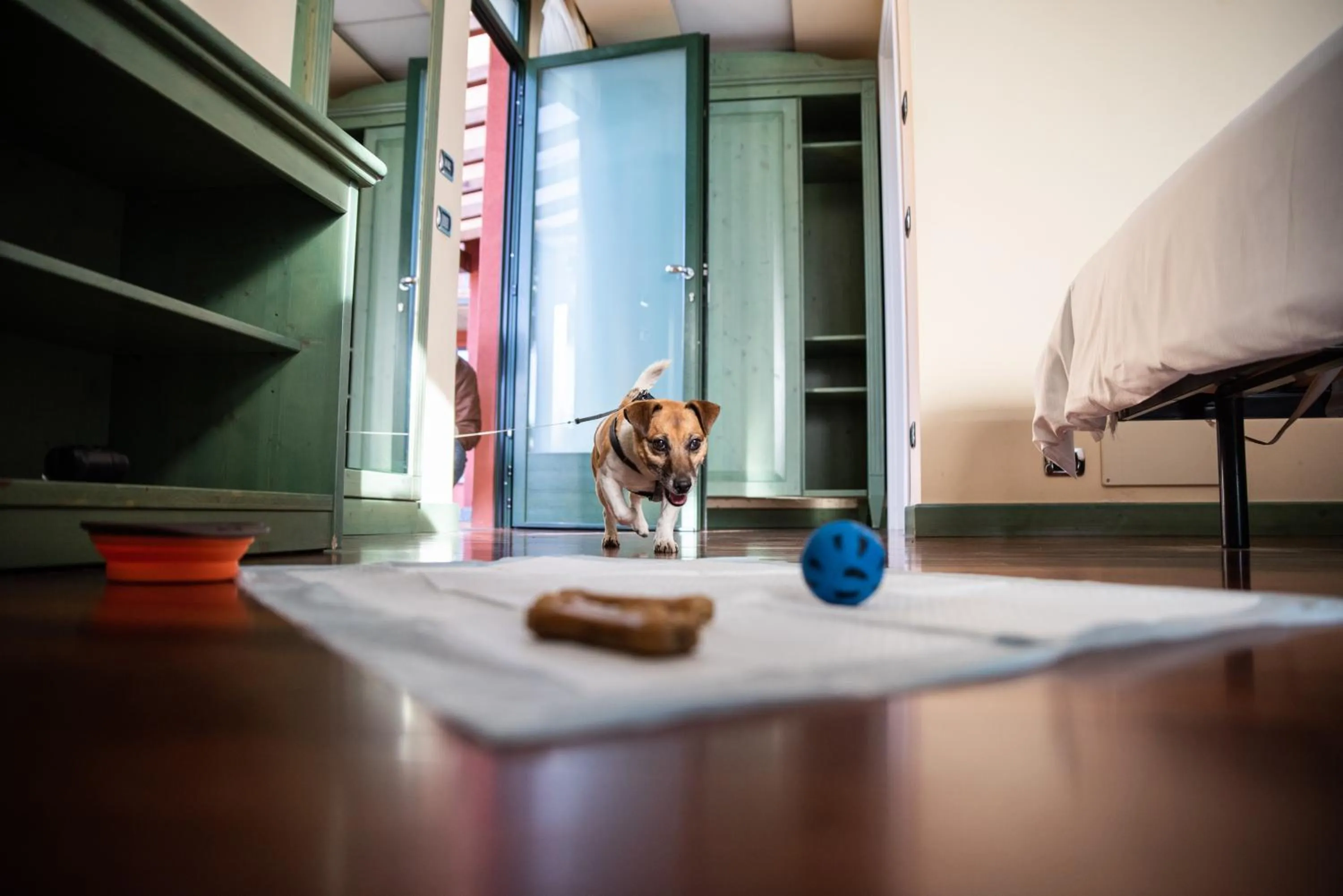 Pets in Hotel Residence Montelago