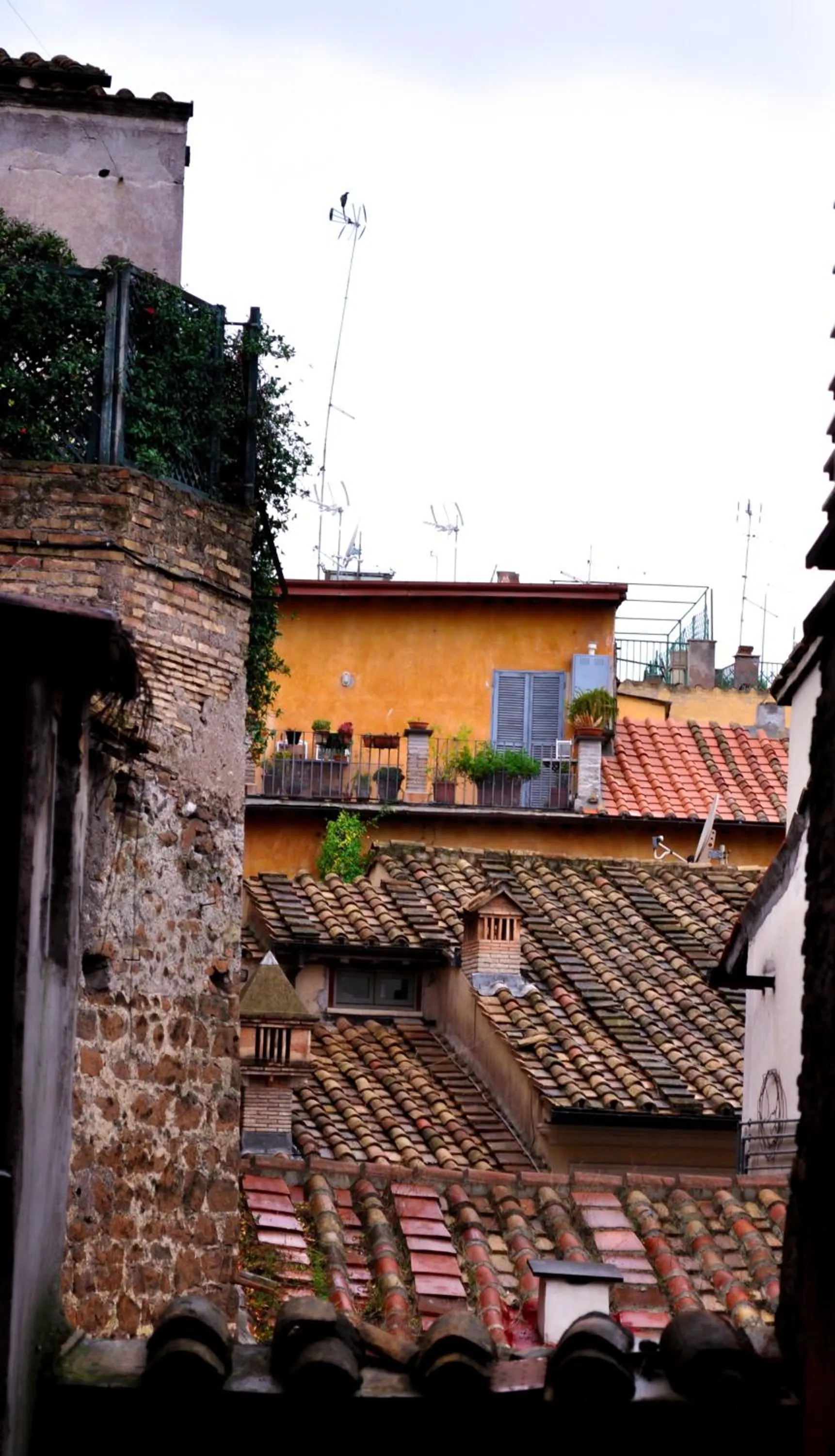 Facade/entrance in Locanda degli Antiquari