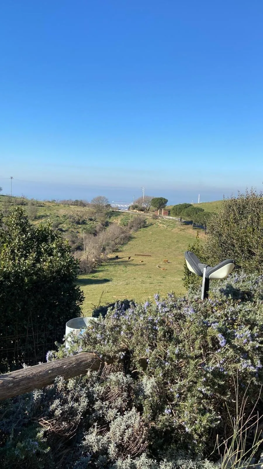 Garden view in Hotel Tenuta dell'Argento Resort