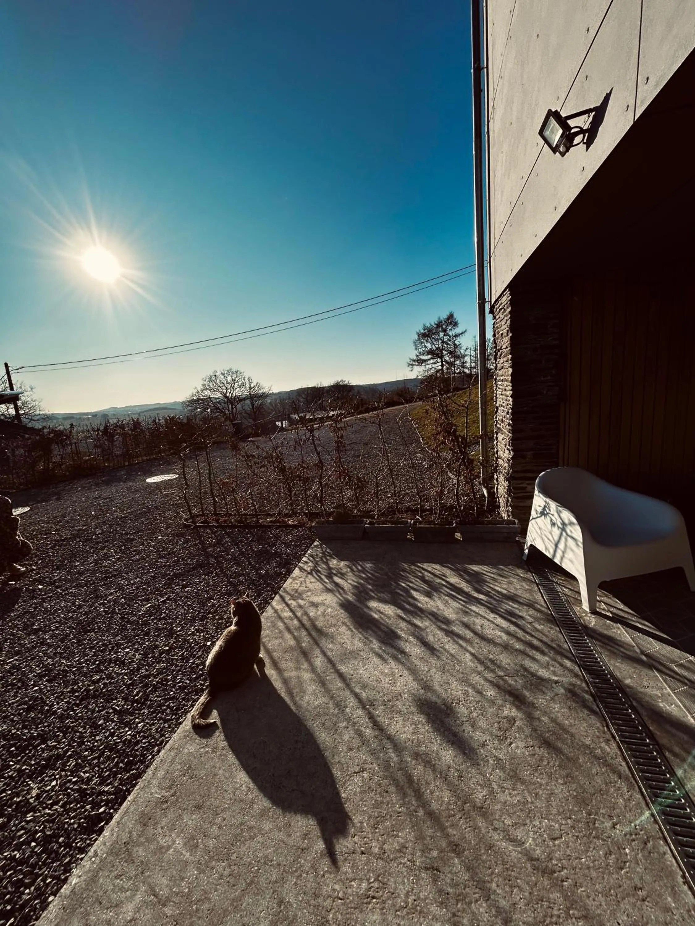 La planque du raton laveur