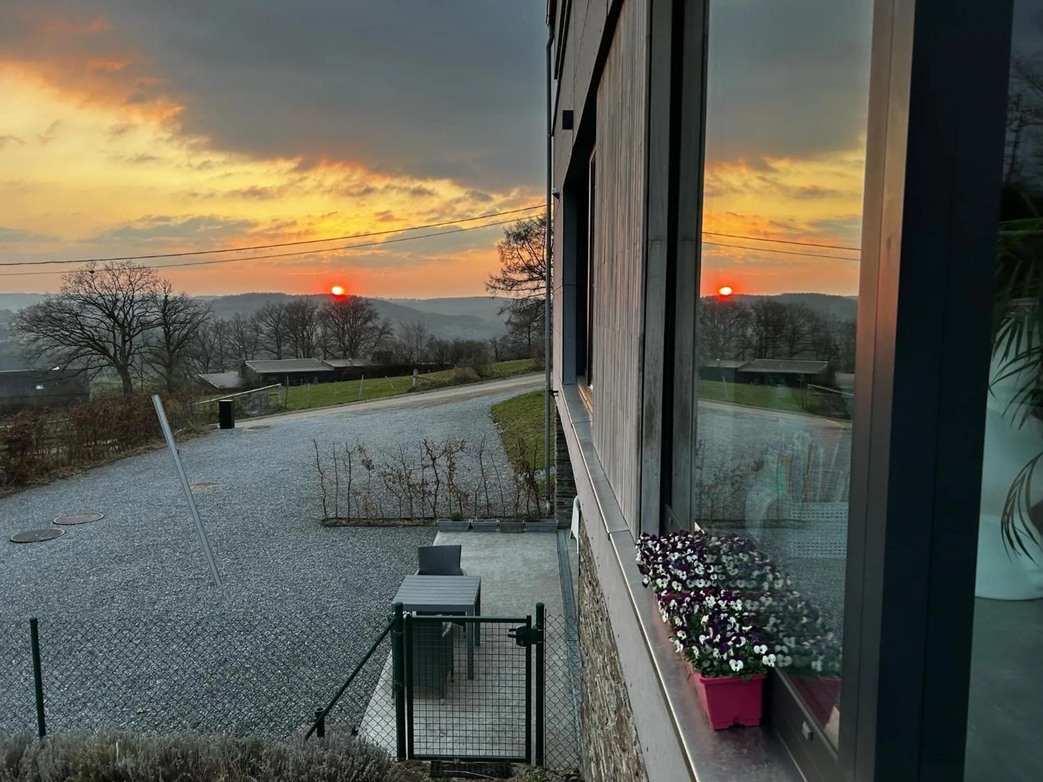 La planque du raton laveur