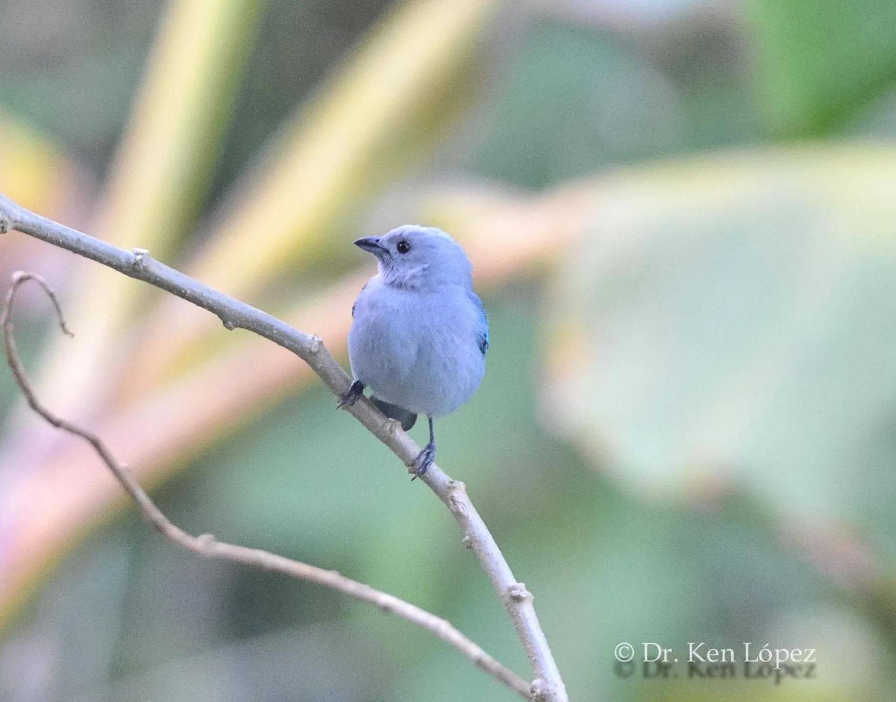 Cascata Del Bosco Cabinas