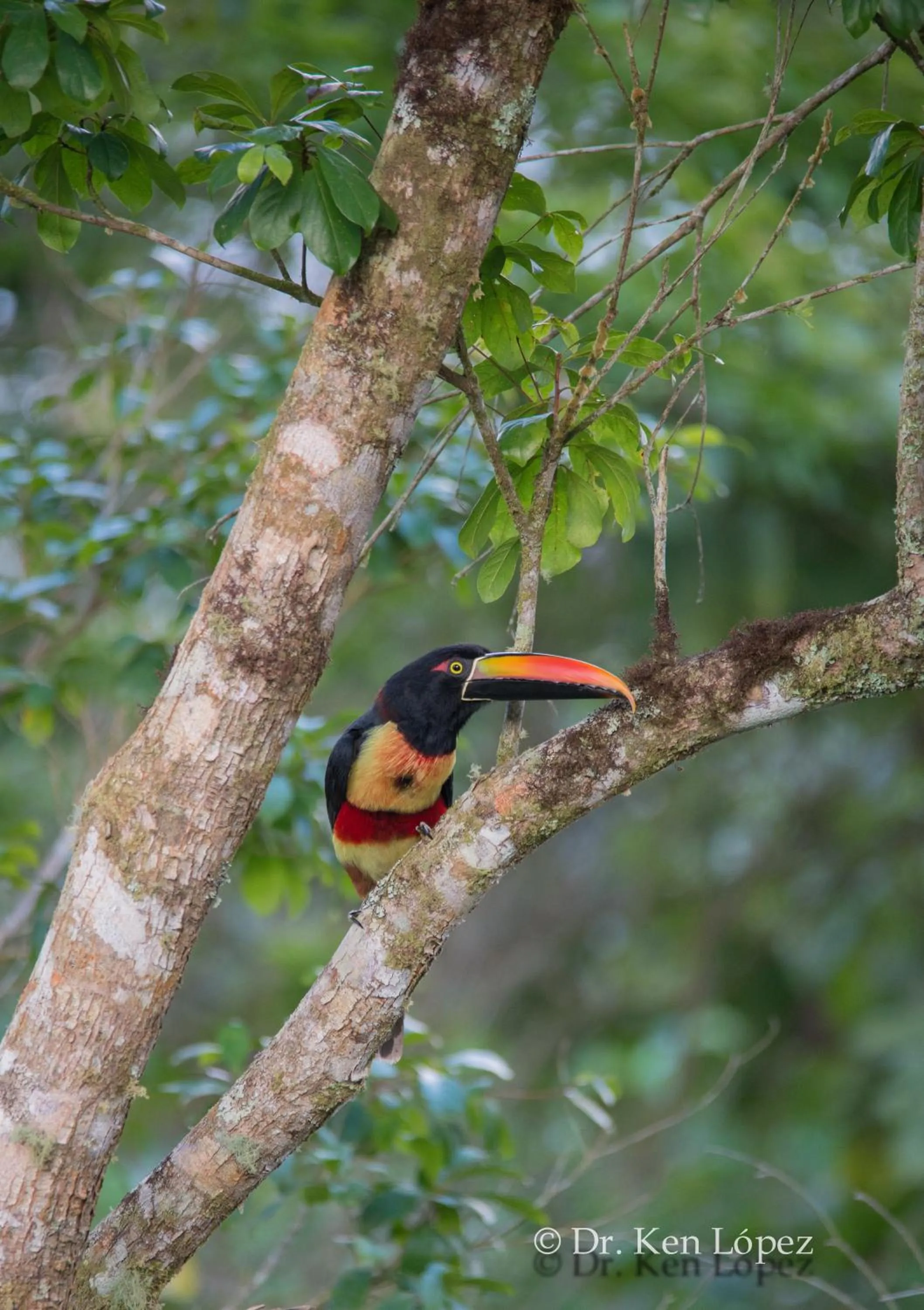 Cascata Del Bosco Cabinas
