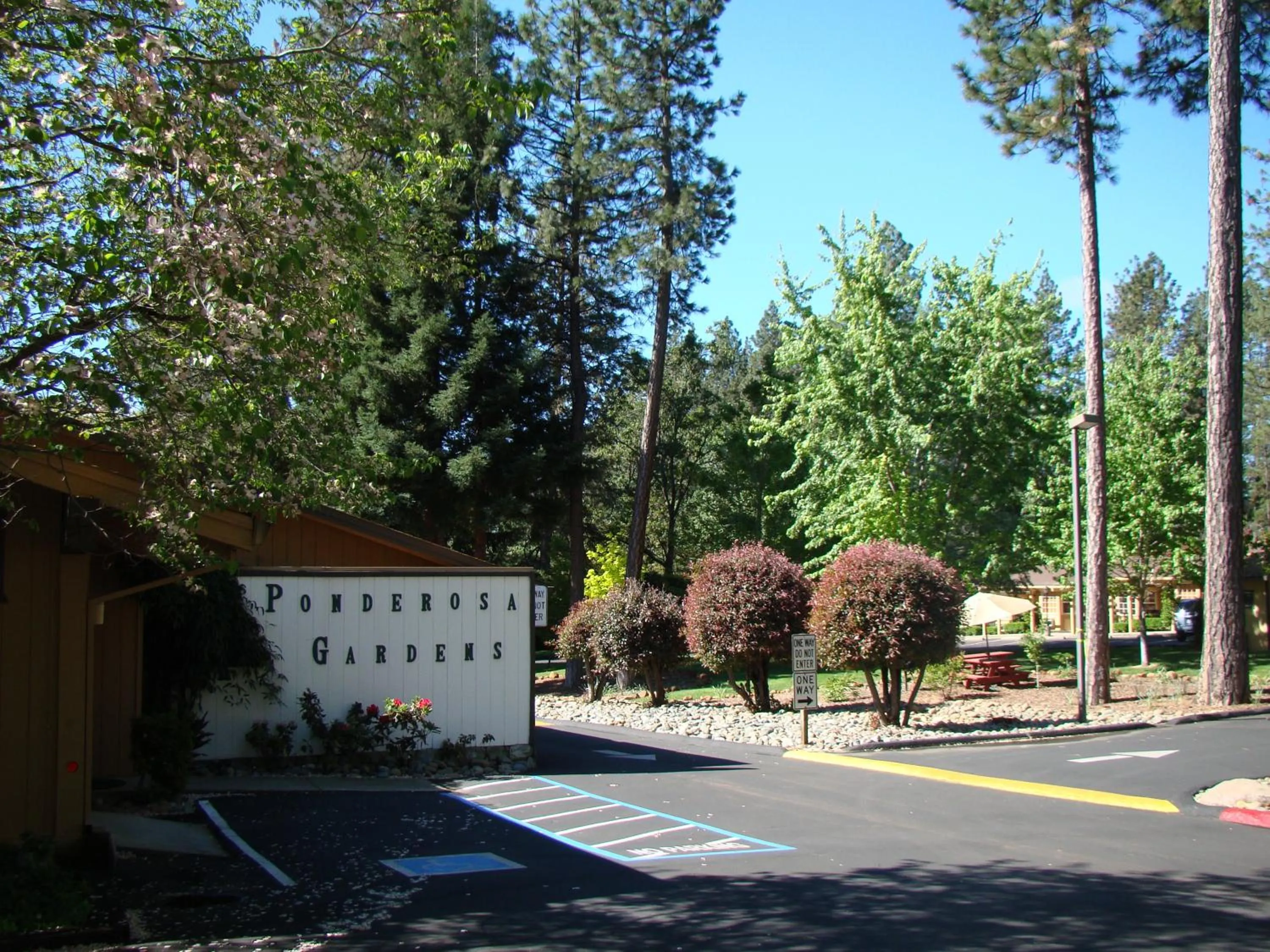 Facade/entrance in Ponderosa Gardens Motel