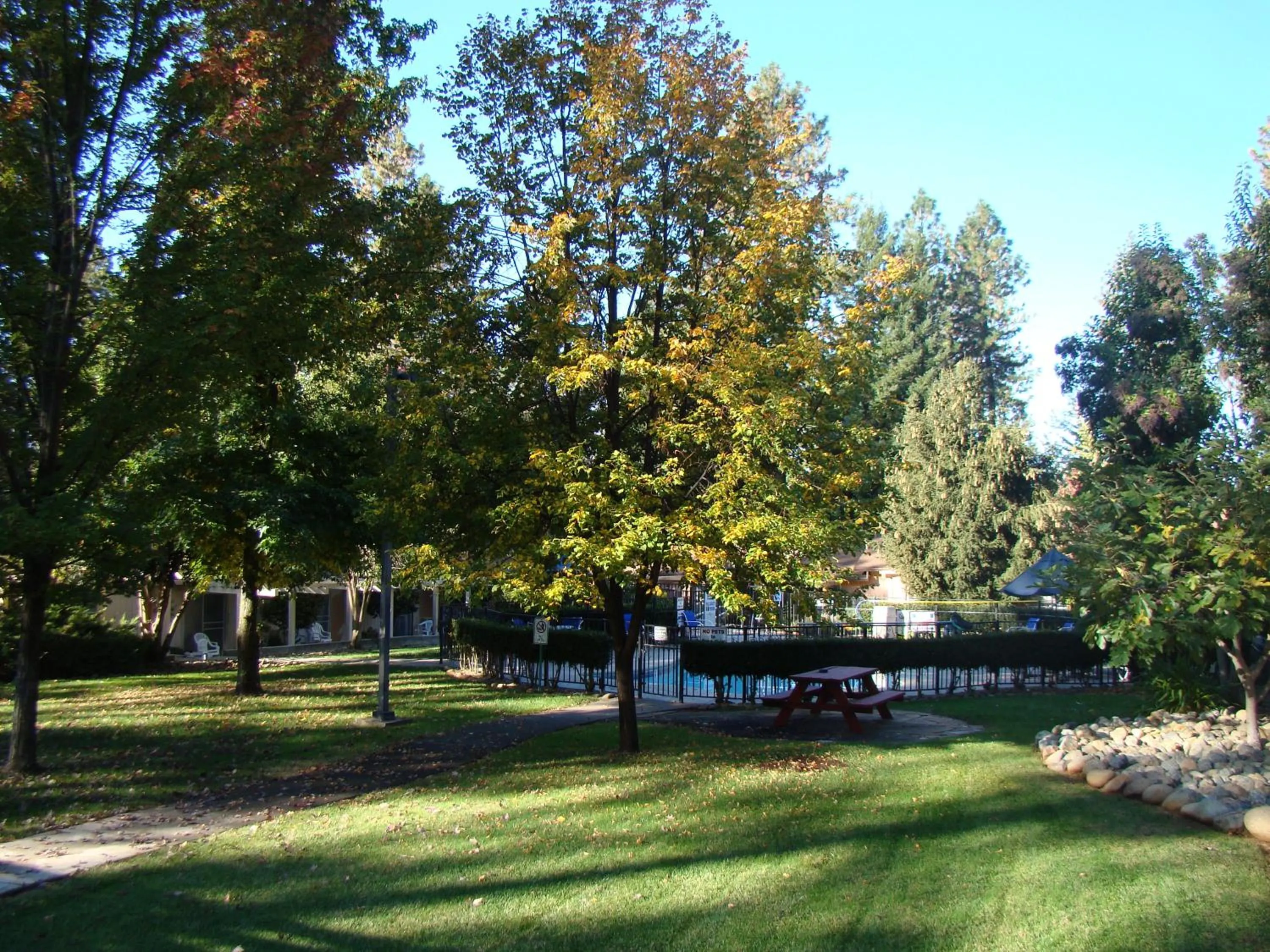 Garden in Ponderosa Gardens Motel
