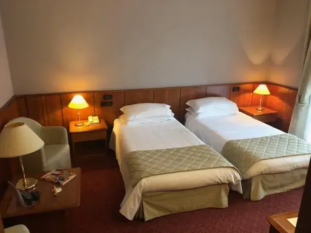 Large Double or Twin Room - single occupancy in Air Palace Hotel Large Double or Twin Room - single occupancy in Air Palace Hotel