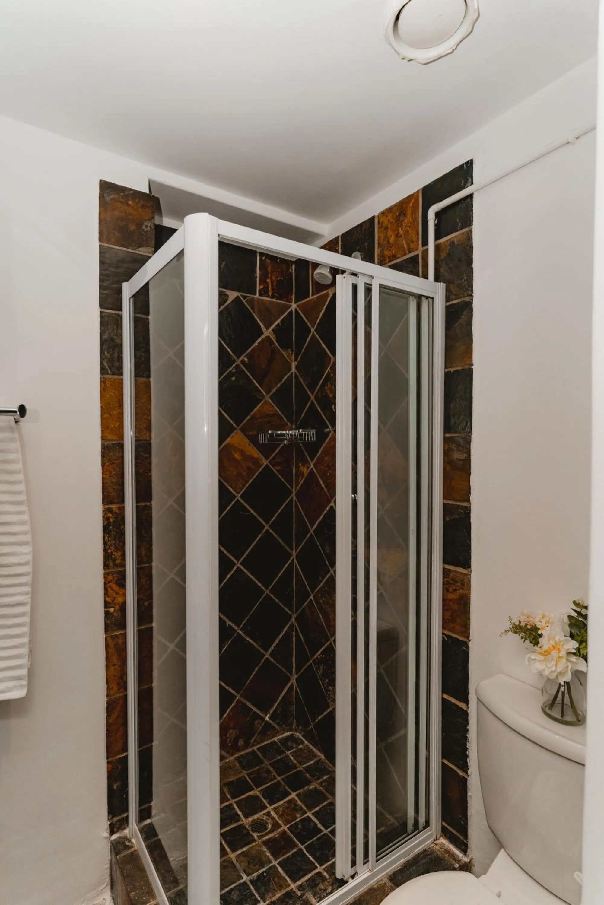 Shower in Cape Diamond Boutique Hotel