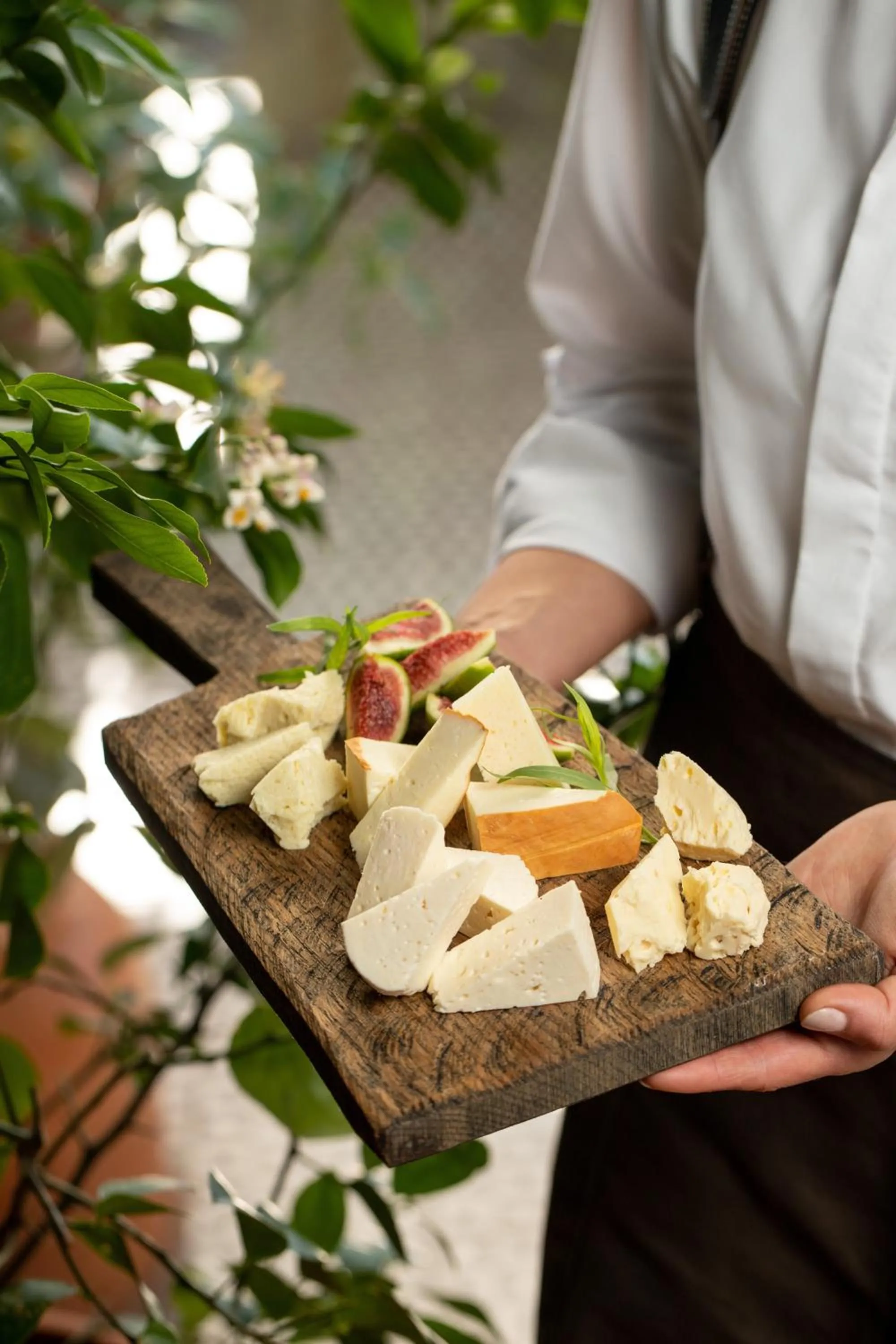 Restaurant/places to eat in Khedi Hotel Tbilisi