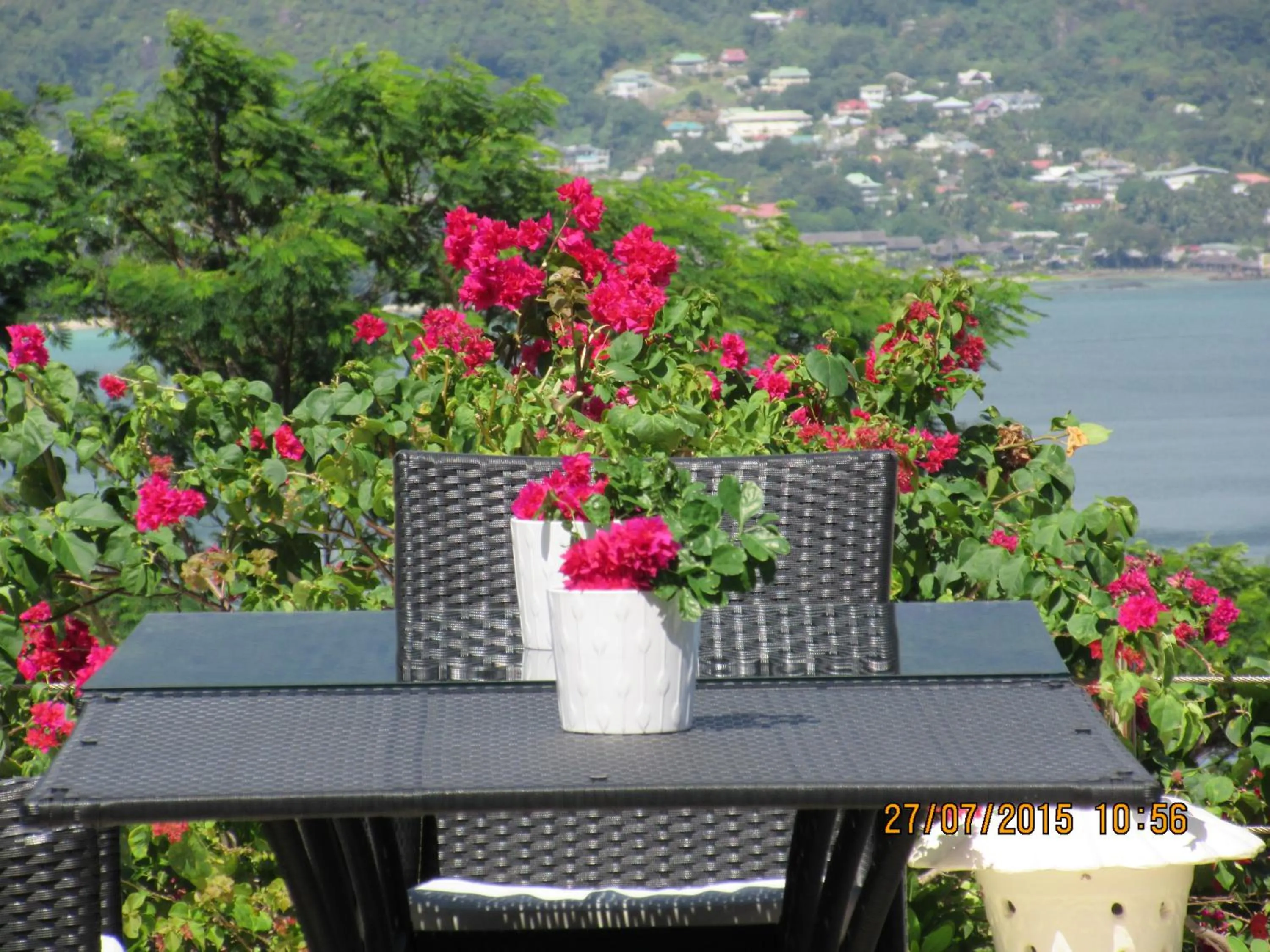 Garden view in Petit Amour Villa, Seychelles