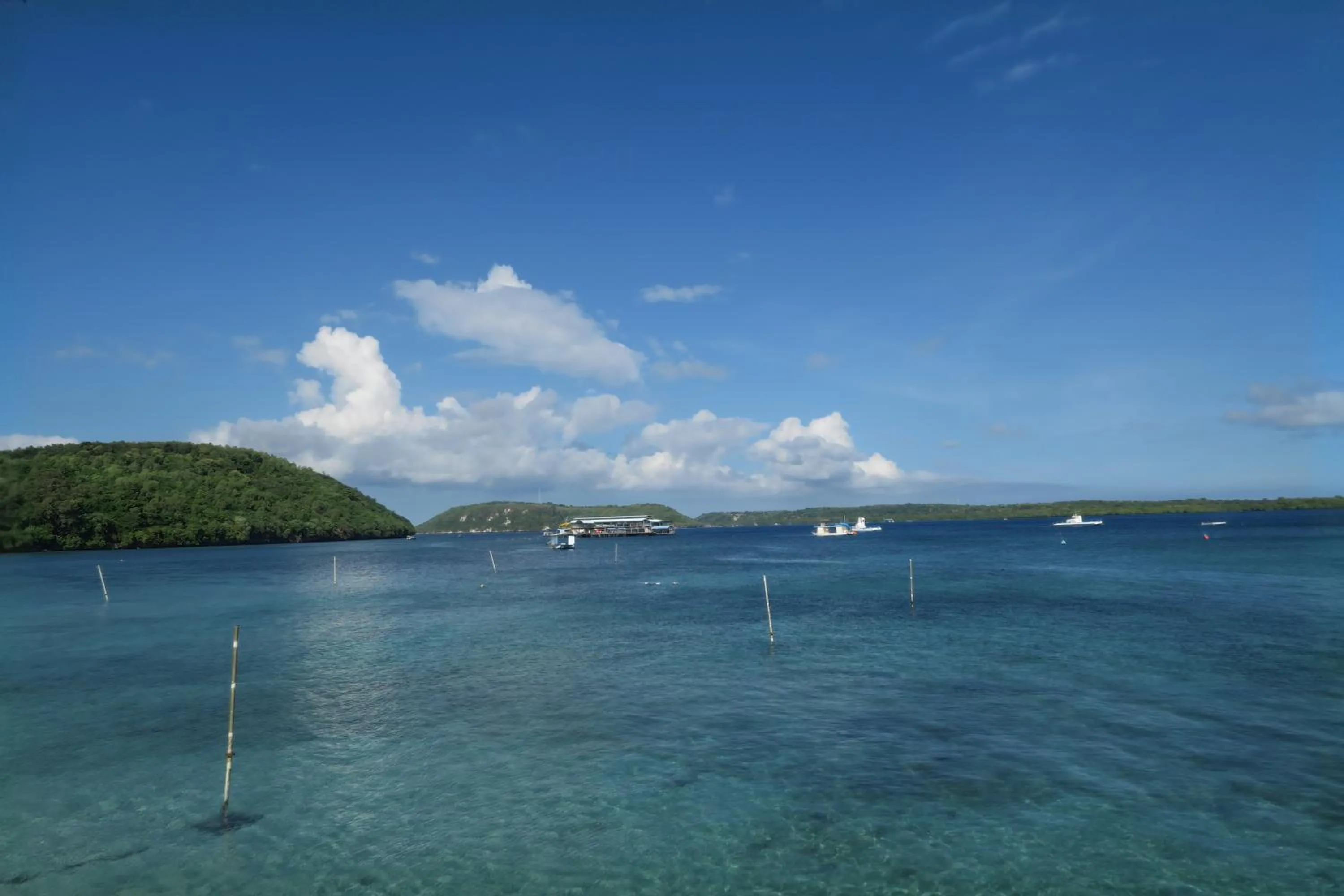 Natural landscape in Namaste Bungalows