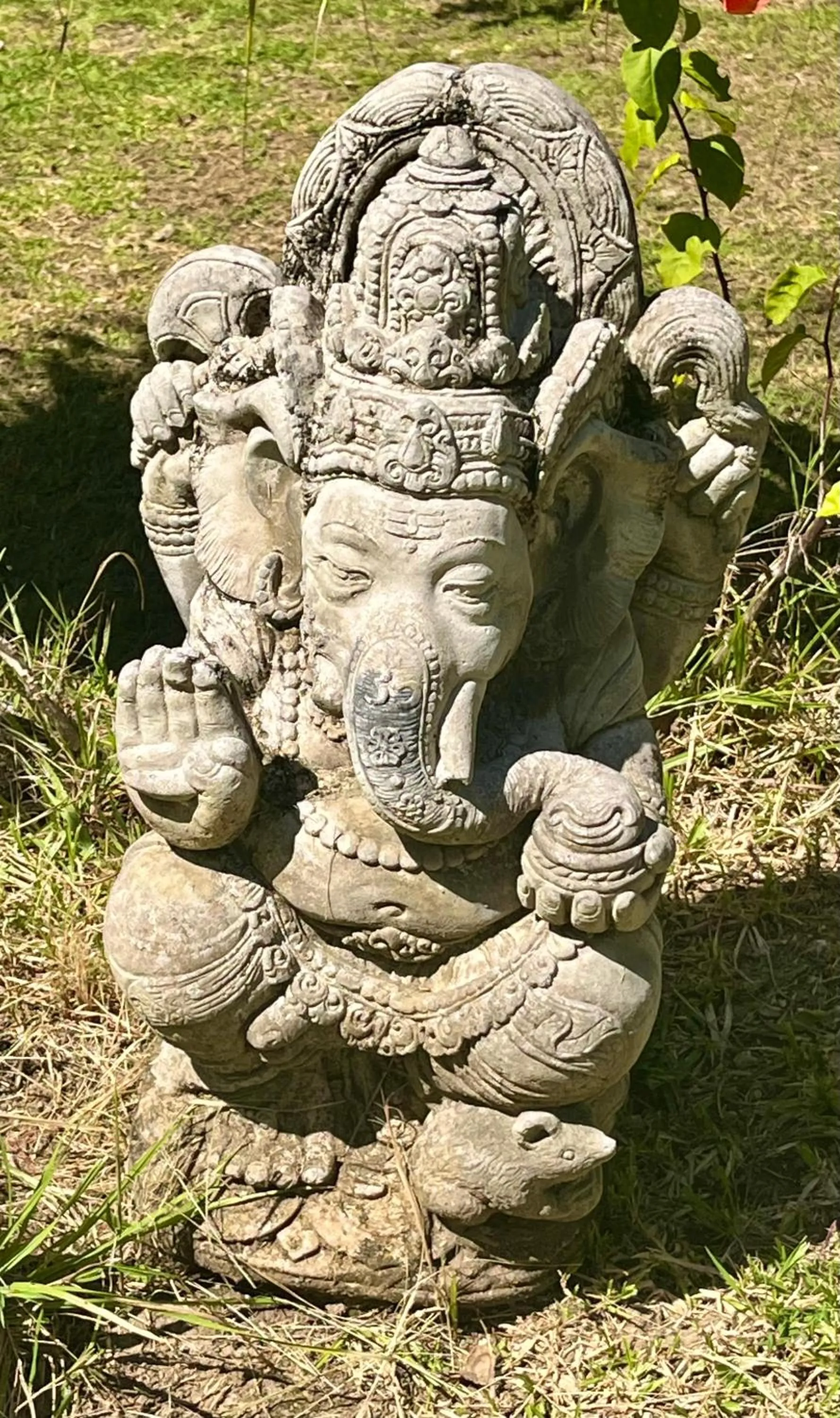 Garden in Namaste Bungalows Resort