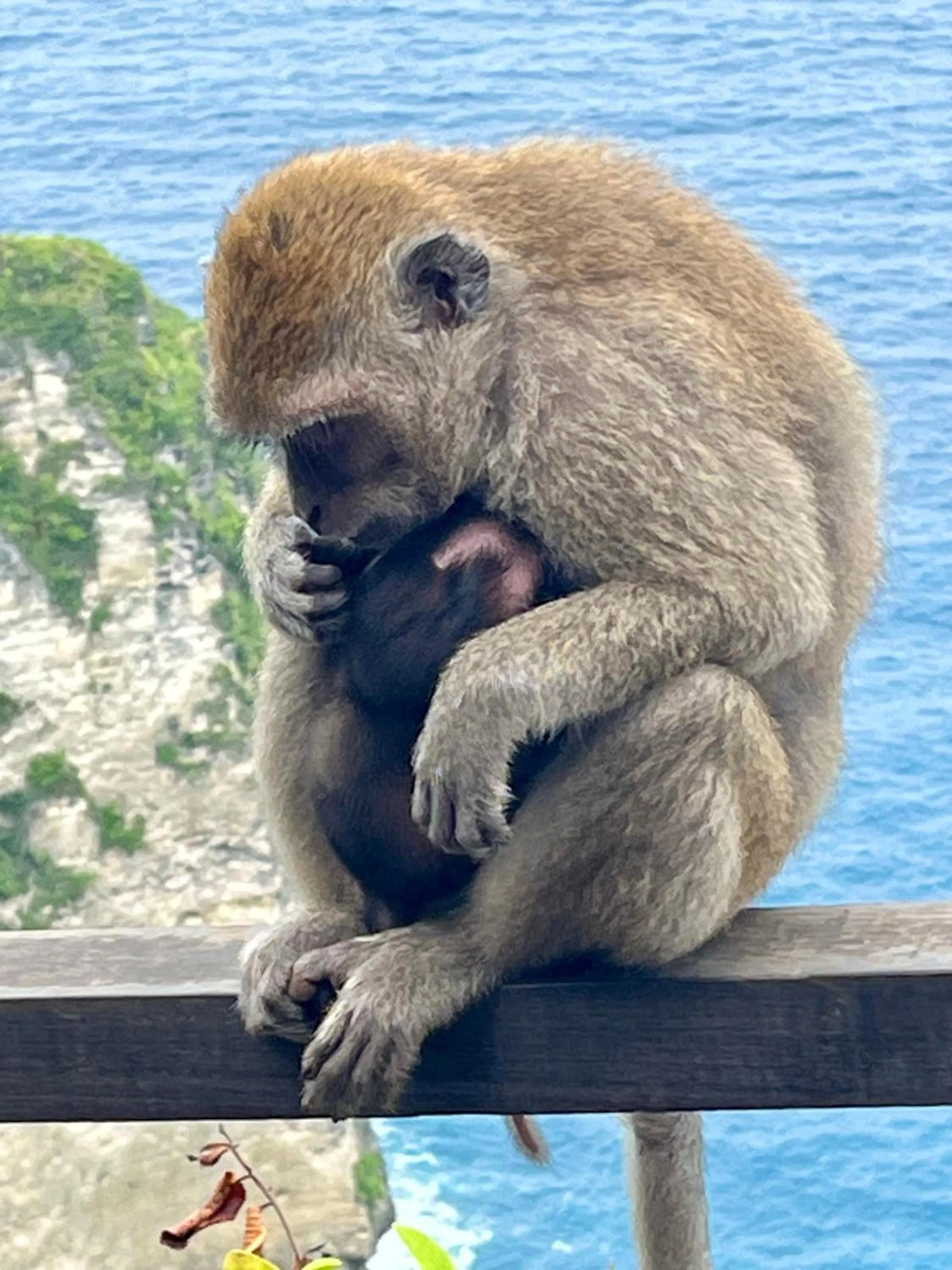 Off site in Namaste Bungalows Resort