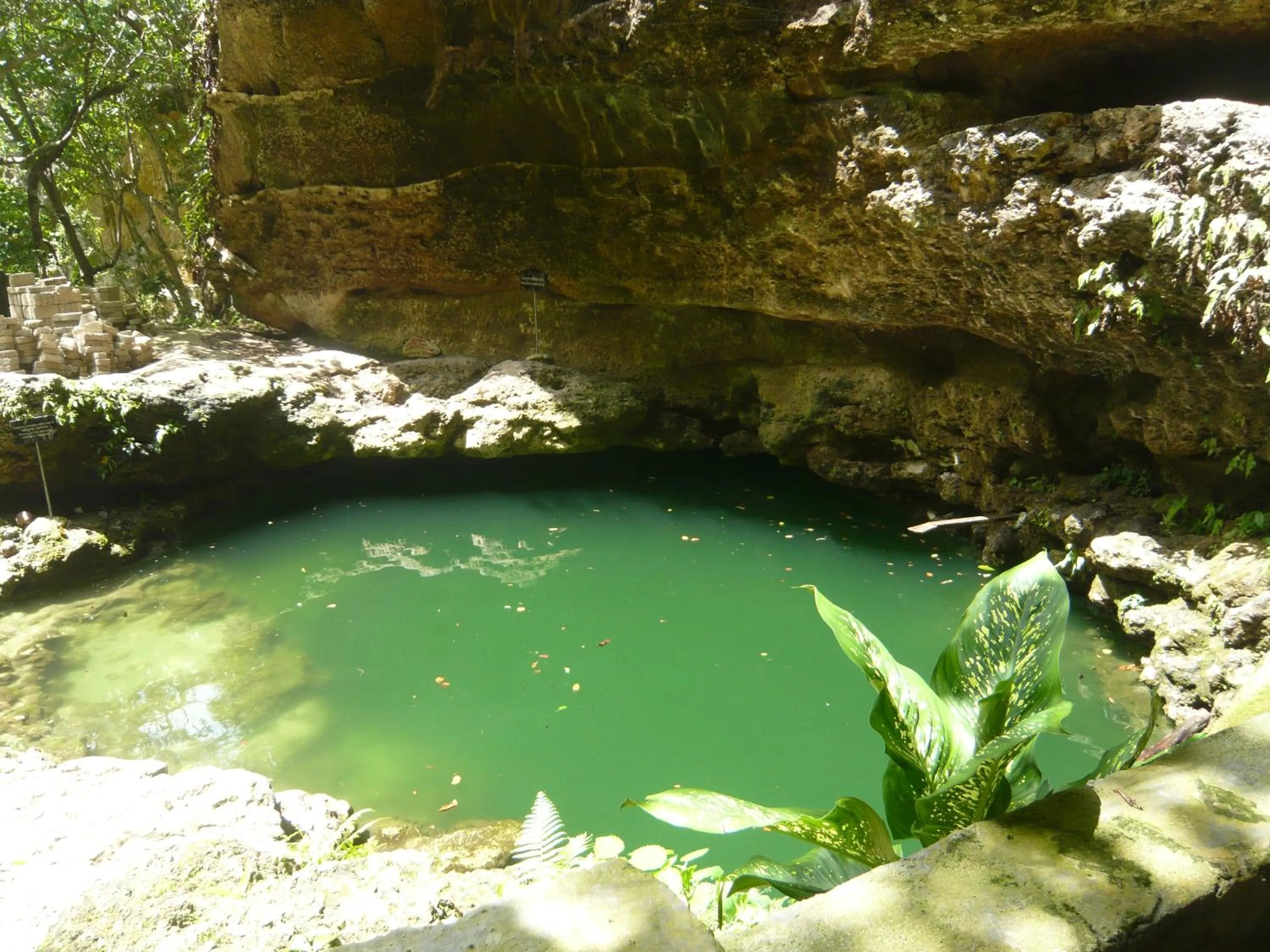Natural landscape in Namaste Bungalows