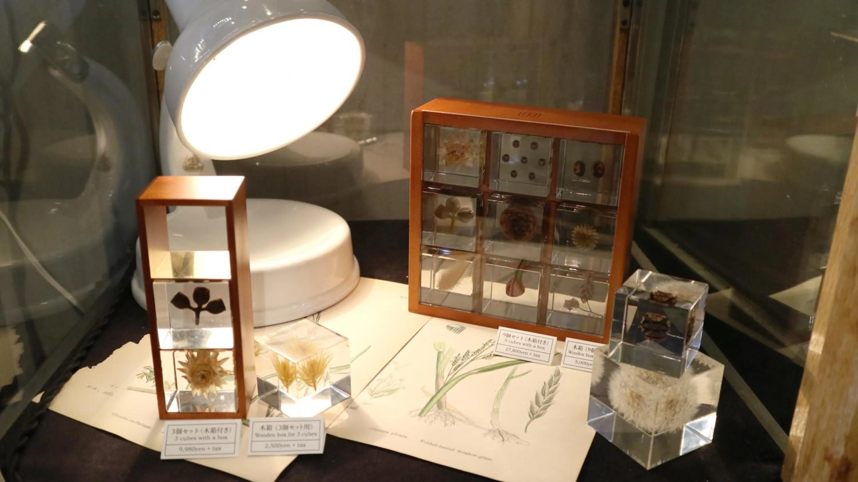 On-site shops in Usaginonedoko