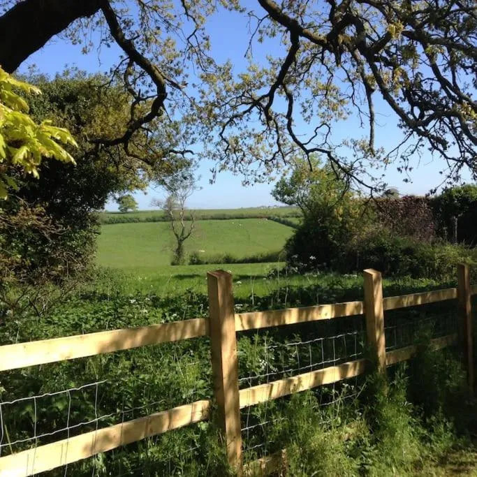 Garden in St Michaels Coach House