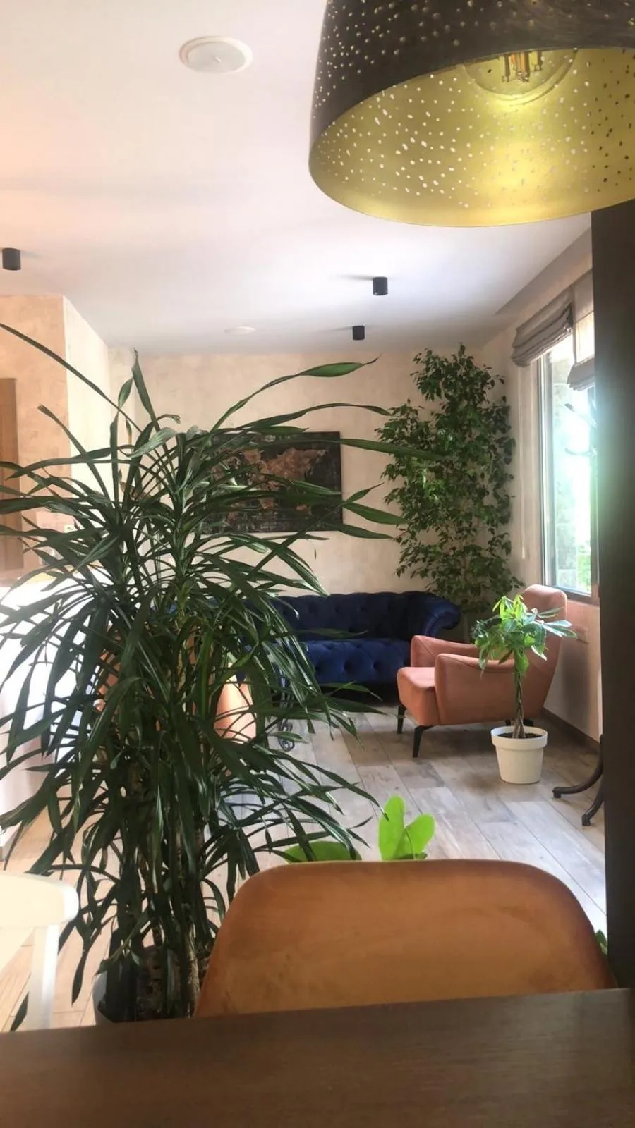 Lobby or reception in Hotel Vladimir