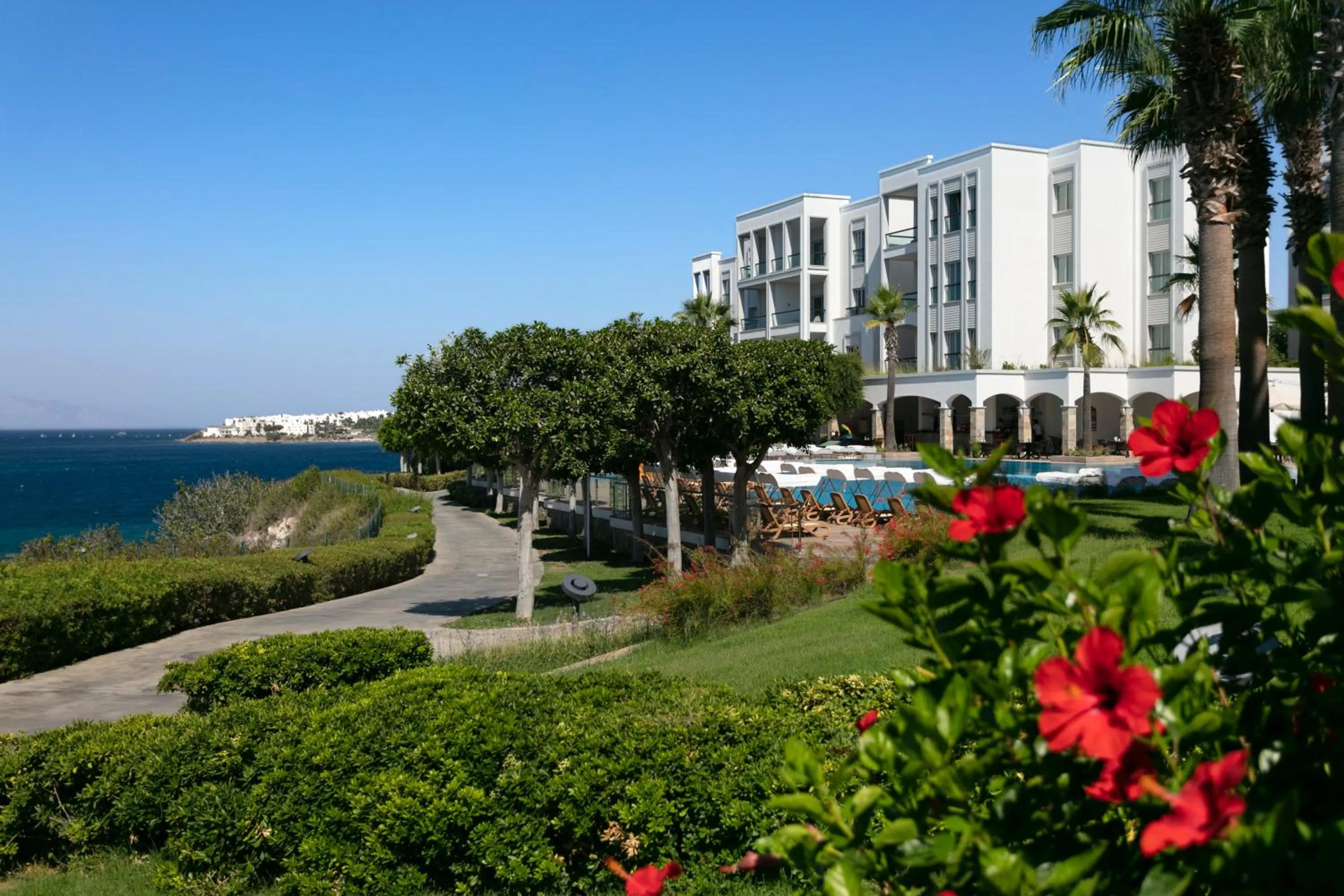 Garden in Xanadu Island