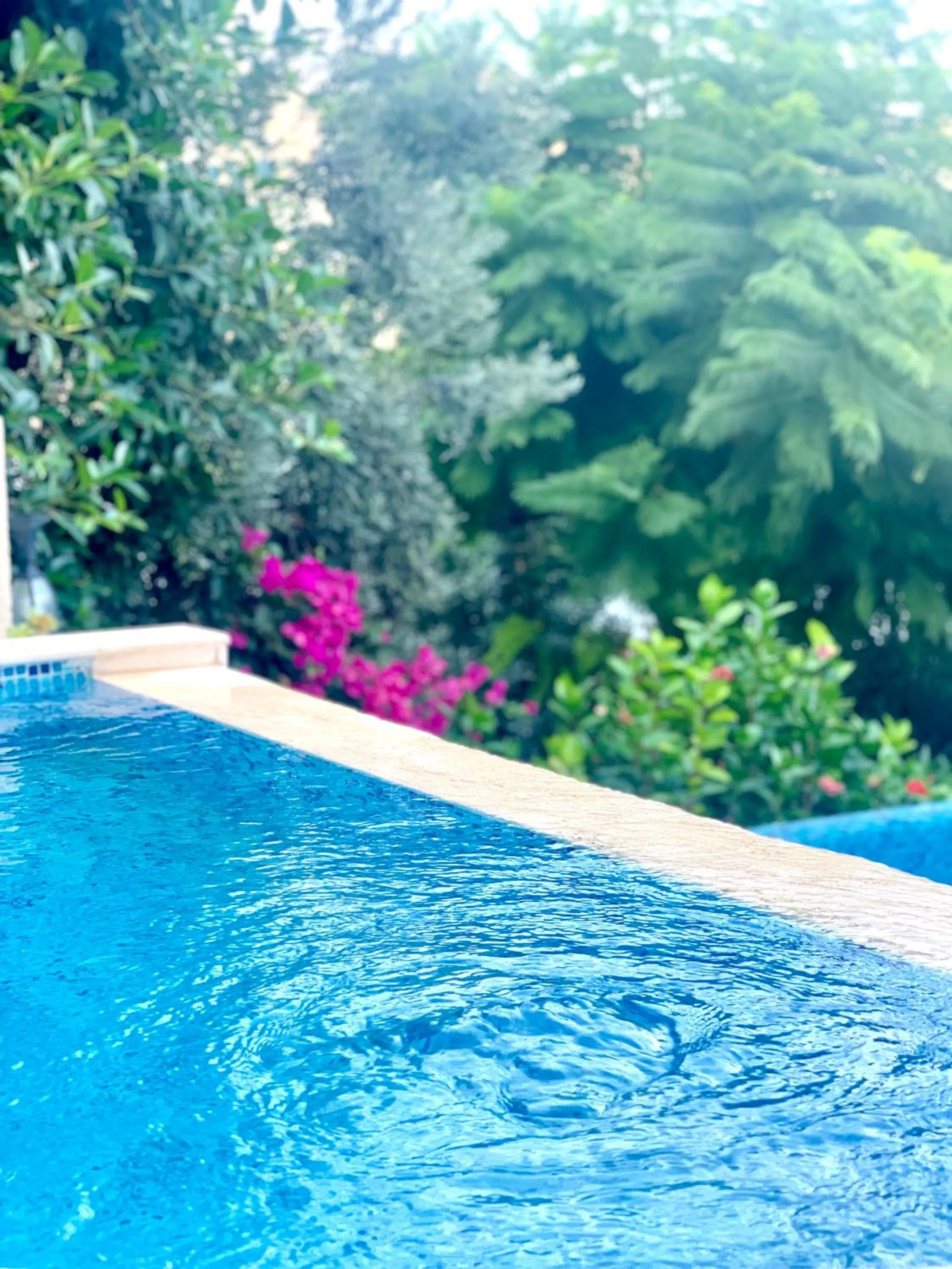 Swimming pool in Club Hotel Barbarossa