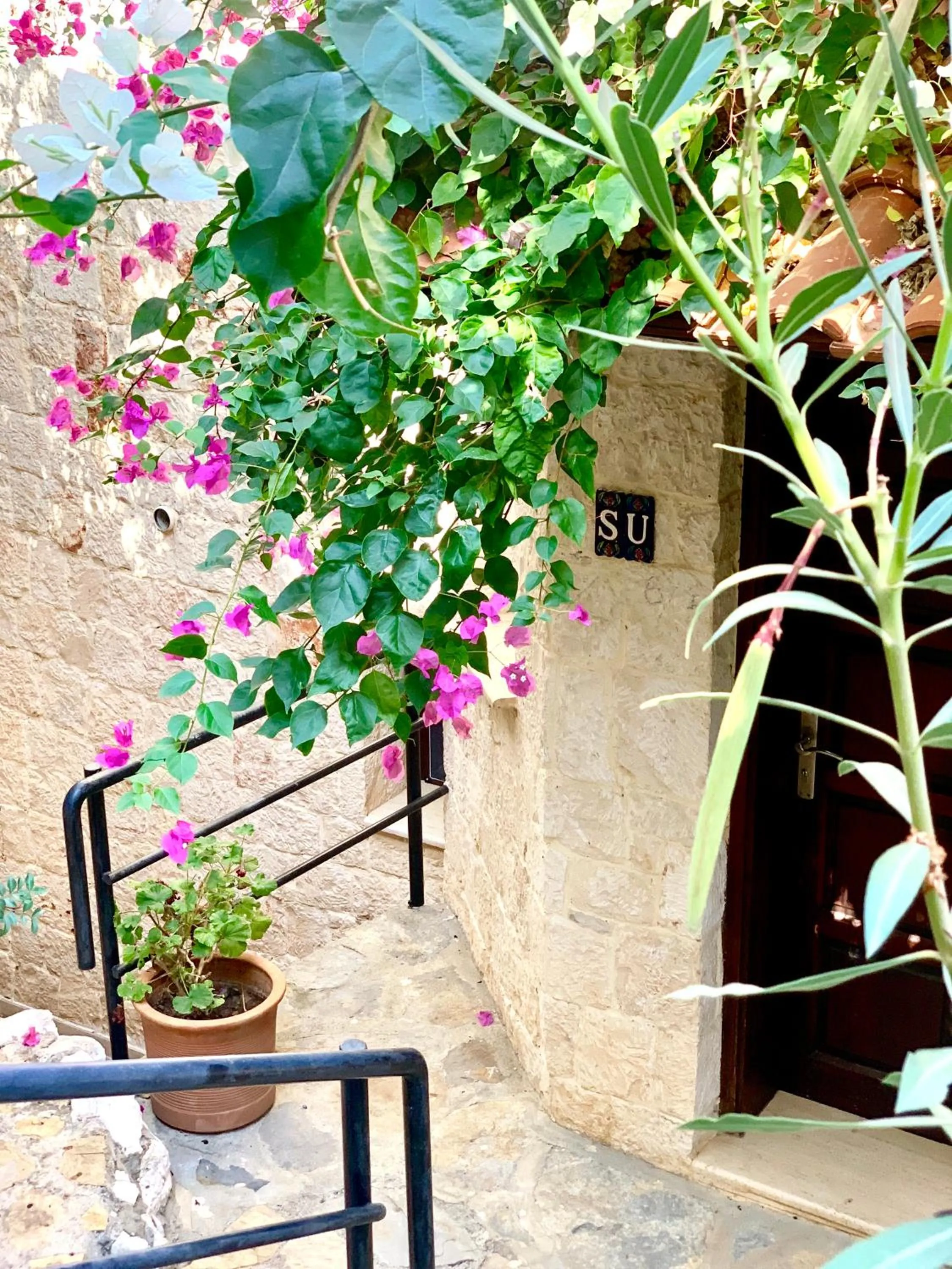 Patio in Club Hotel Barbarossa