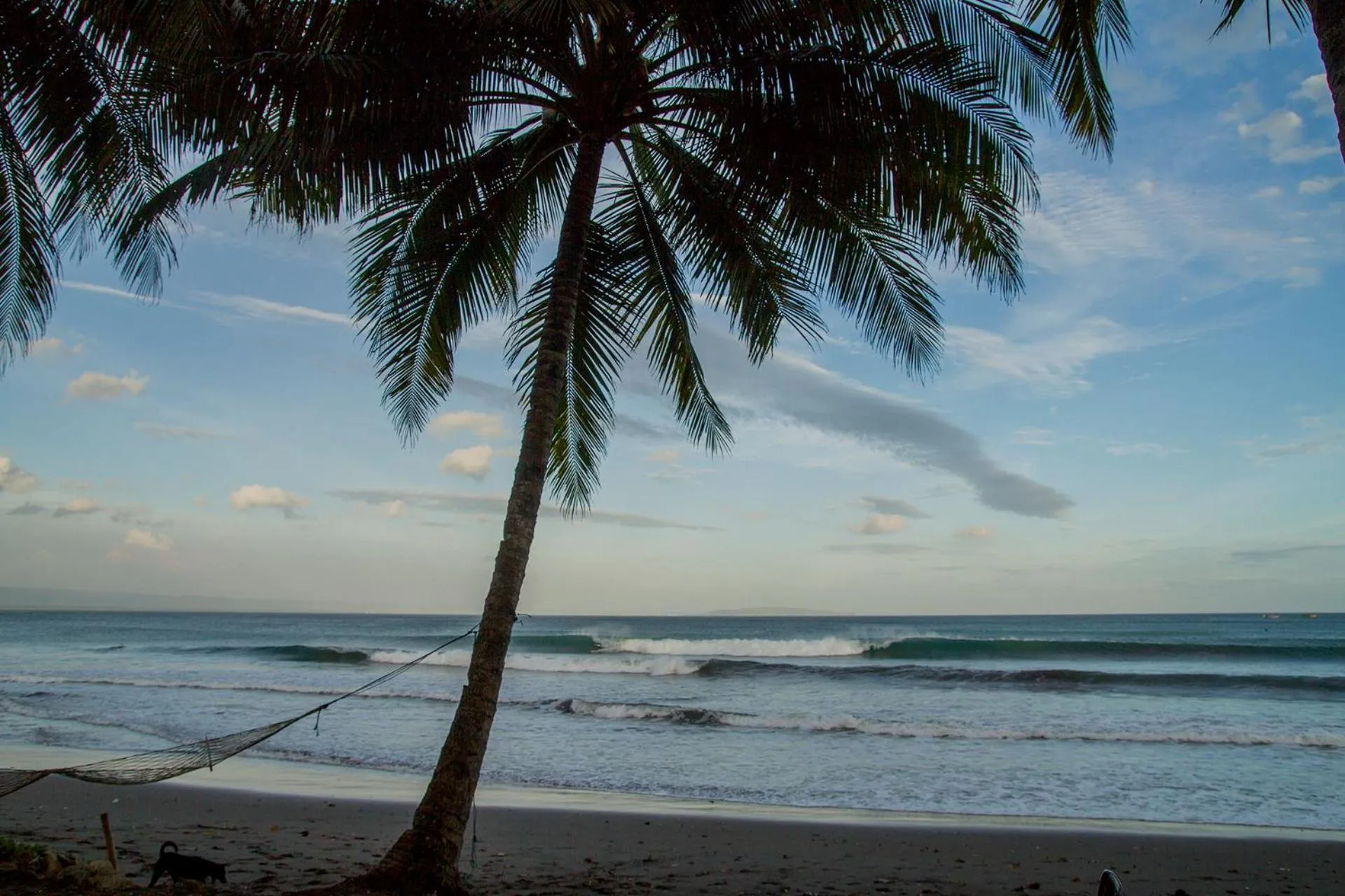Natural landscape in Bale Karang Cottages