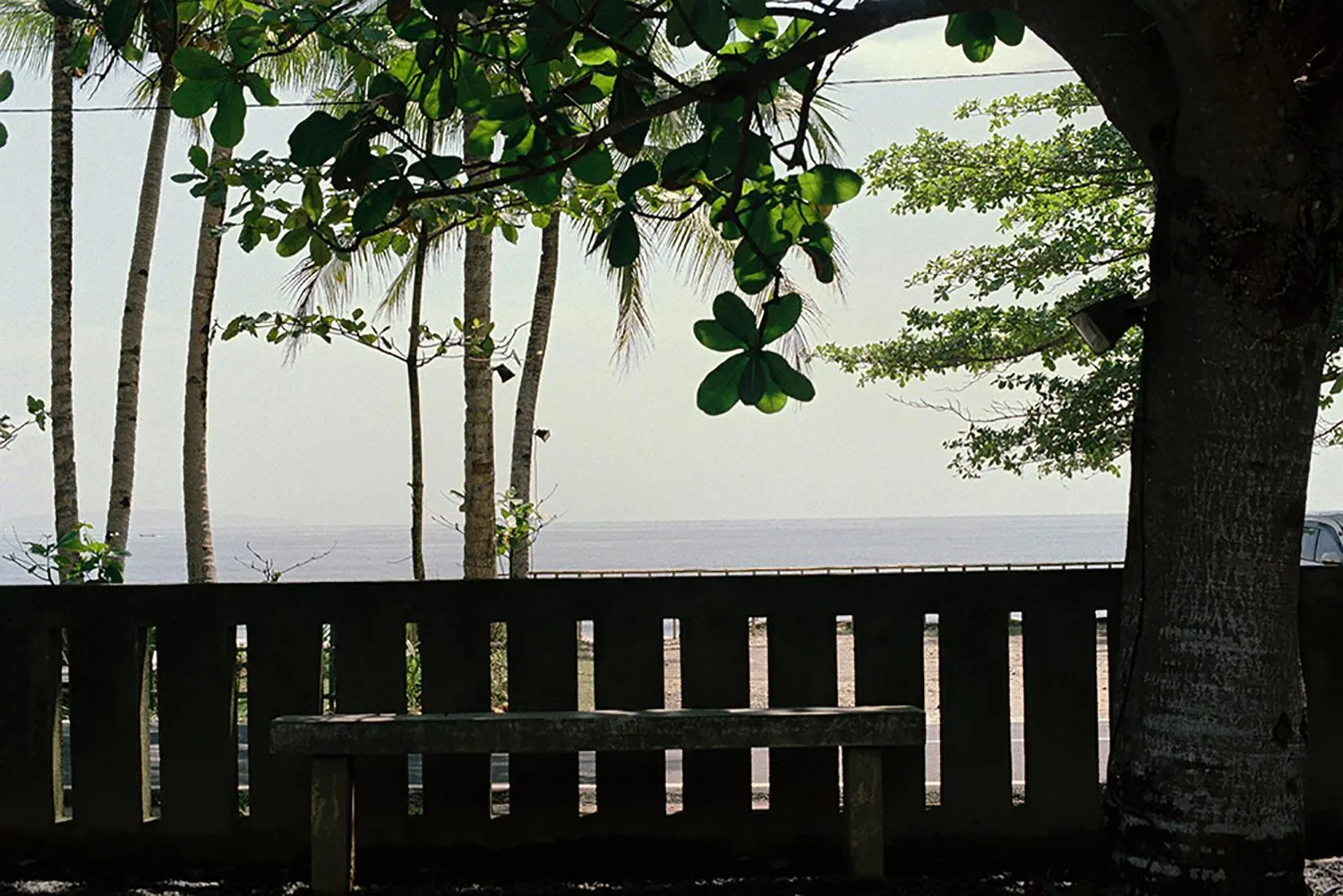 Natural landscape in Bale Karang Cottages