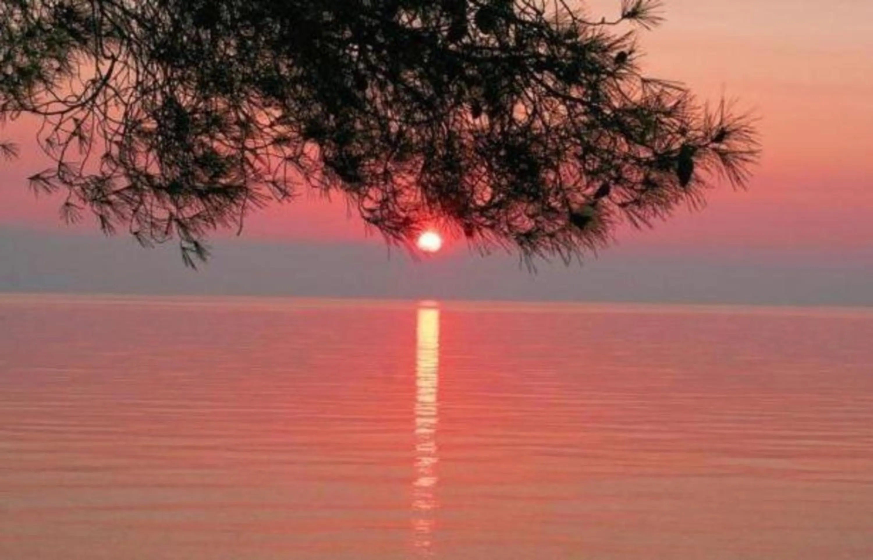 Location in Siagas Beach Hotel