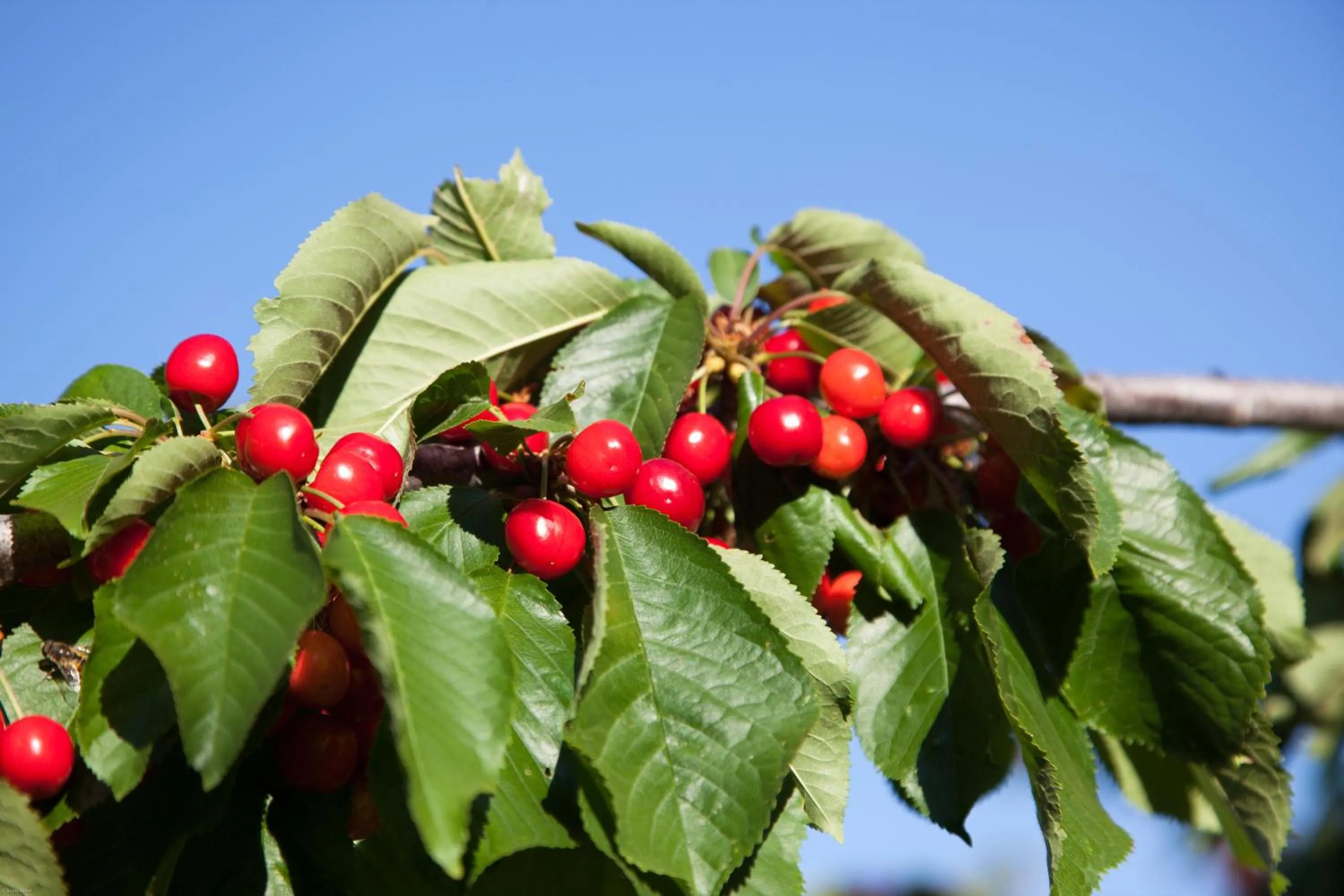 Activities in Sa Mola