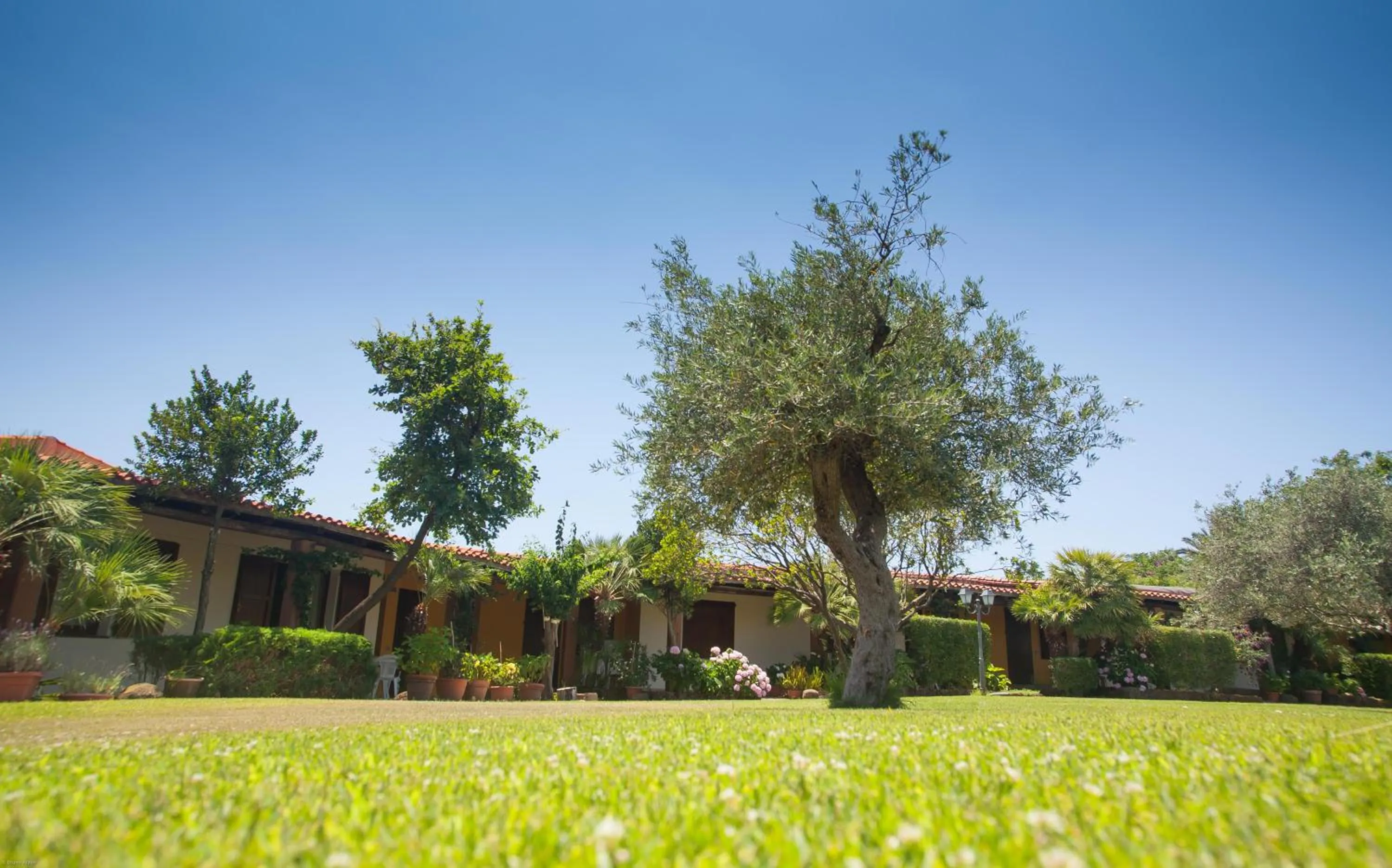 Property building in Sa Mola