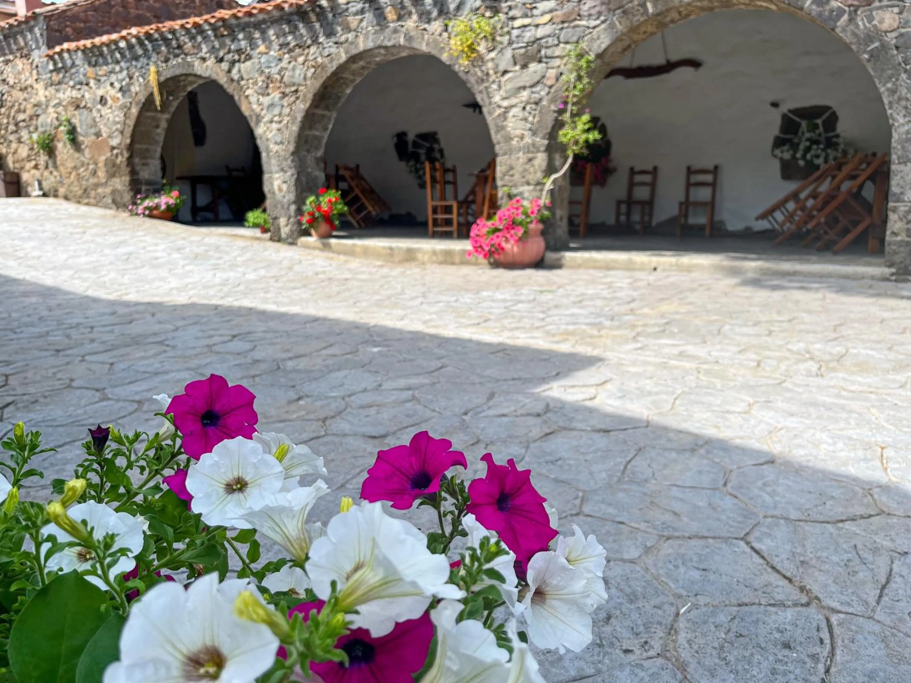 Garden view in Sa Mola