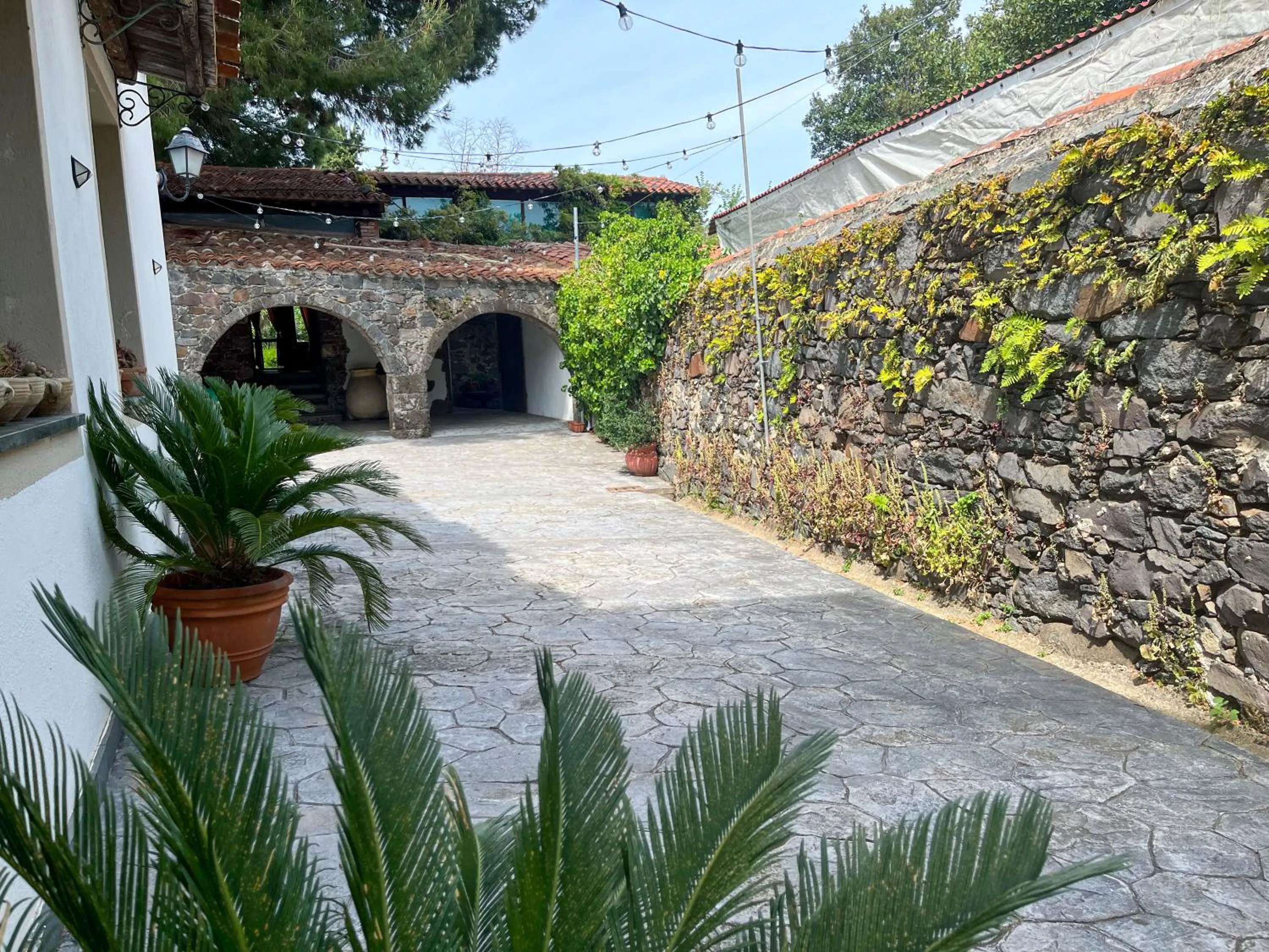 Property building in Sa Mola