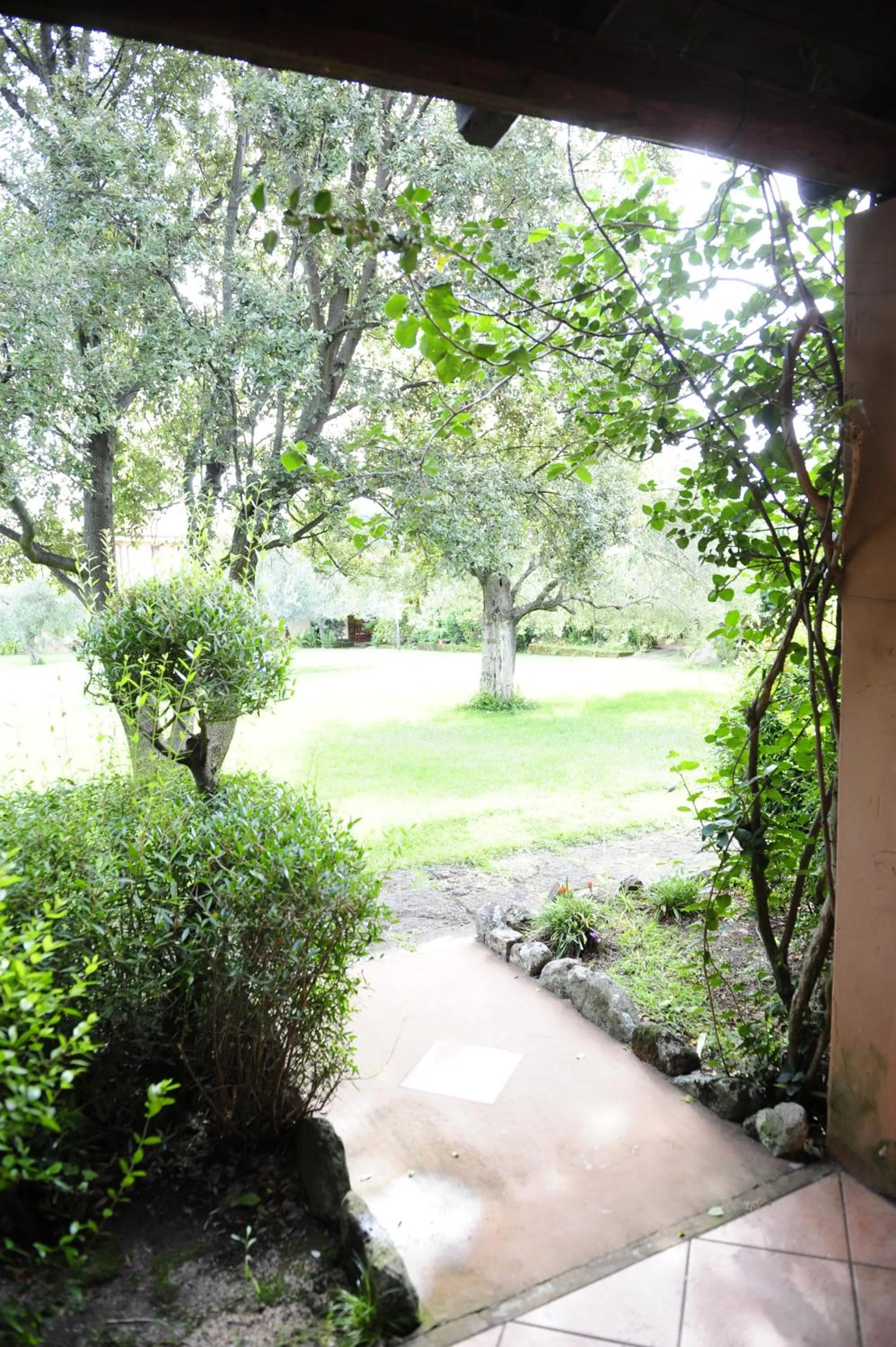 Natural landscape in Sa Mola