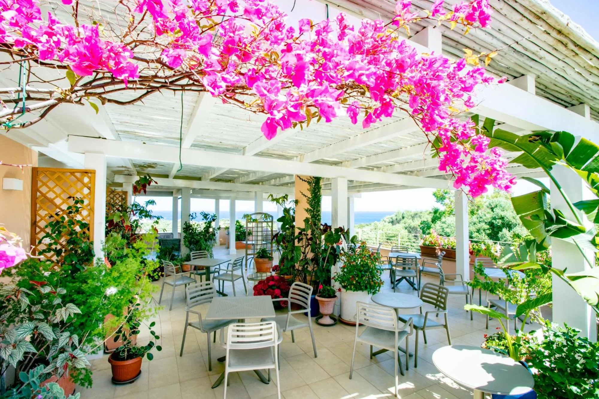 View (from property/room) in Park Hotel Asinara