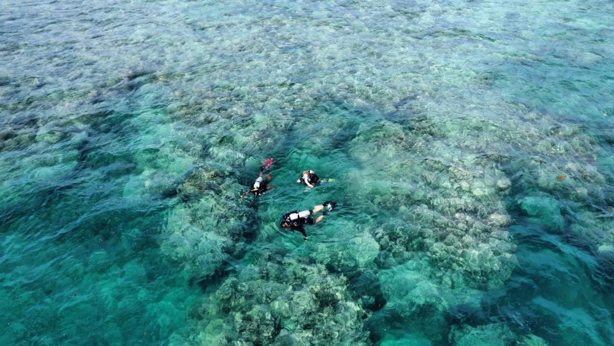 Diving in South Pacific Memories