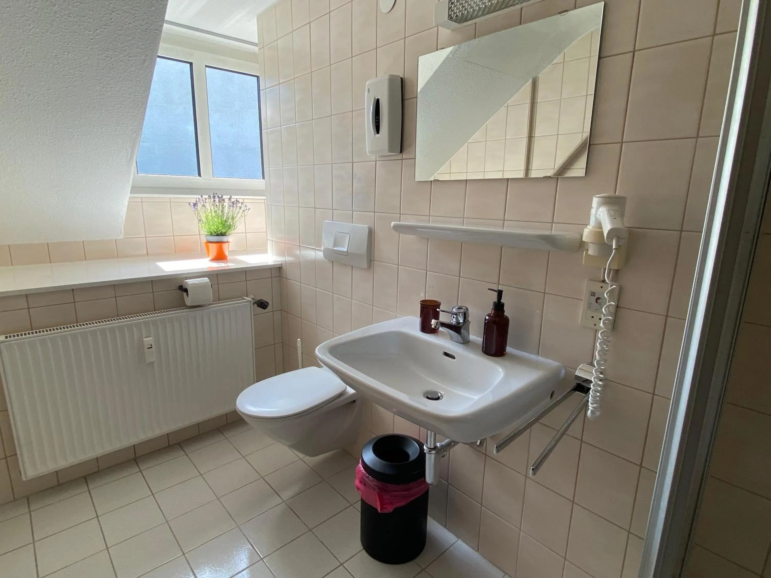 Toilet in Honolulu Hotel