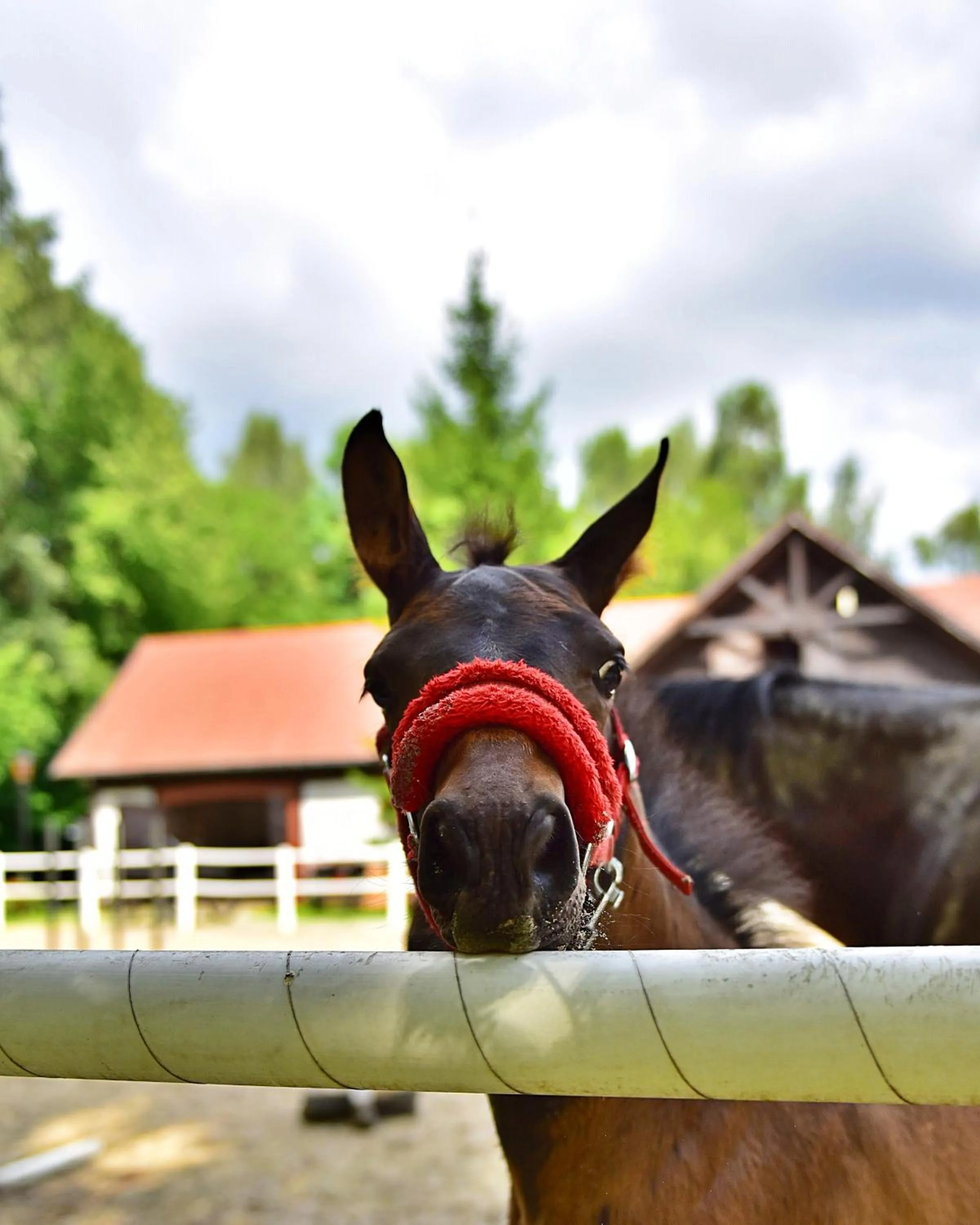 Hotel SPA Dr Irena Eris Wzgórza Dylewskie