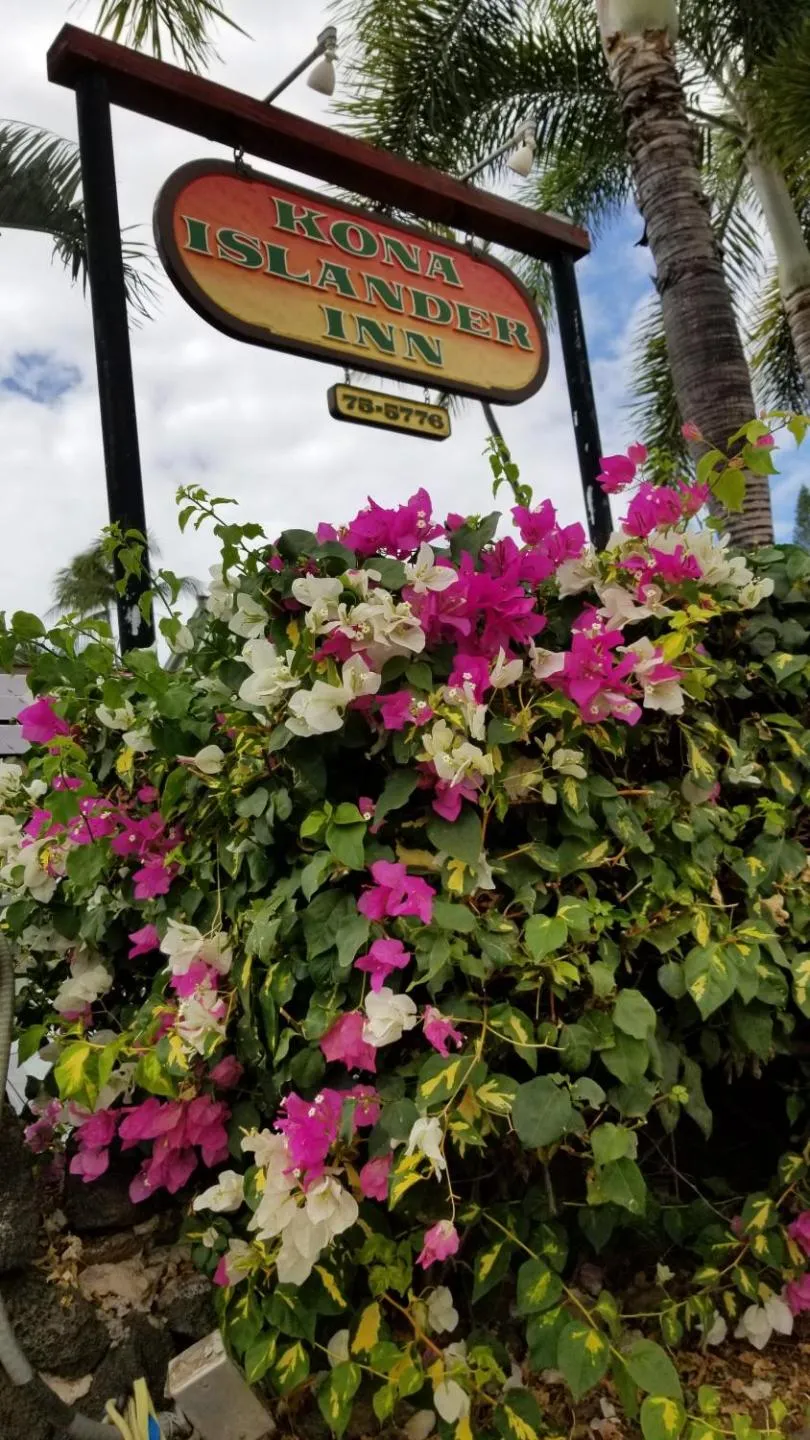 Property building in Kona Islander Inn - Prime Downtown Location with Hot Tub, Pool & Beach