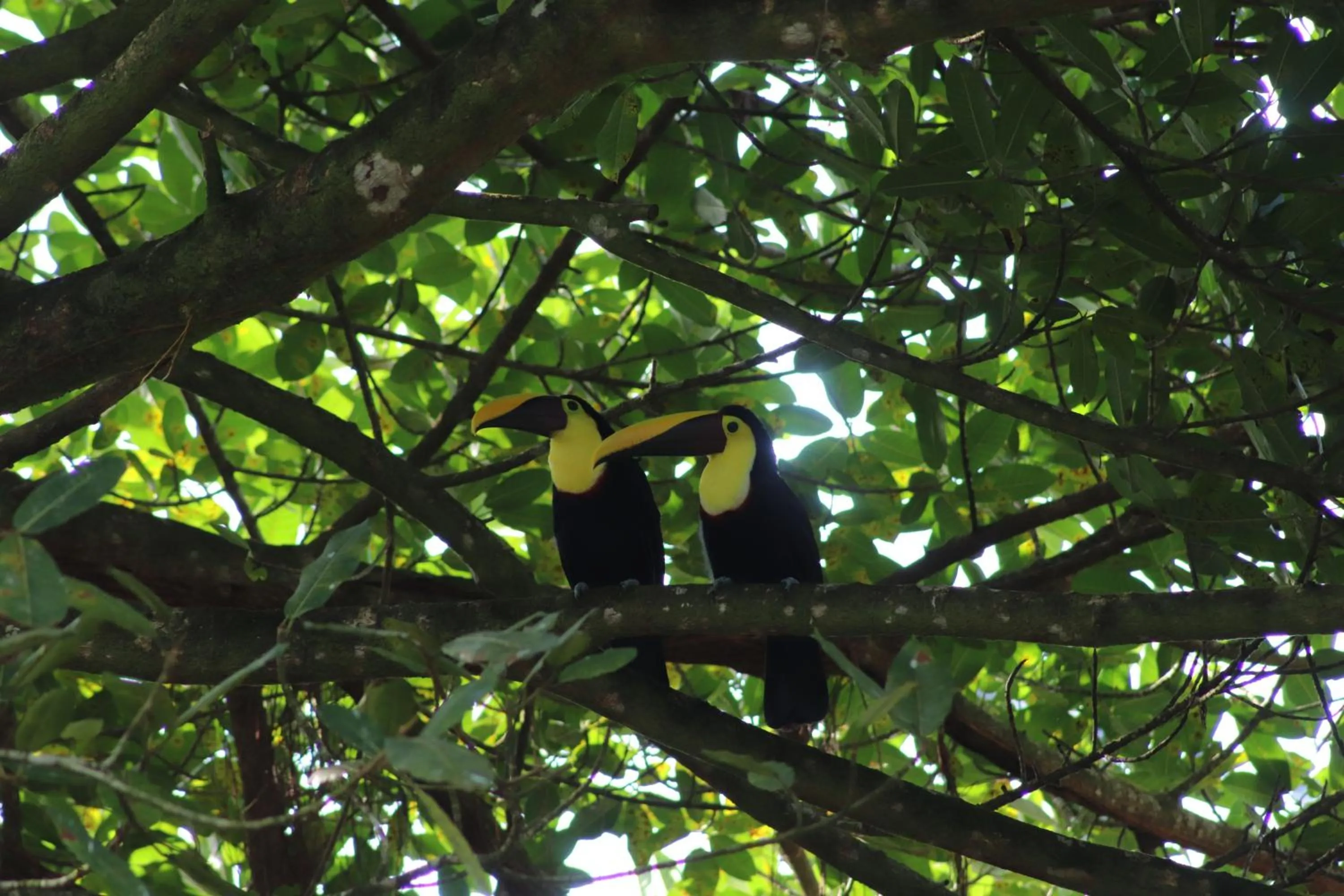 Day in Hotel Serendipity